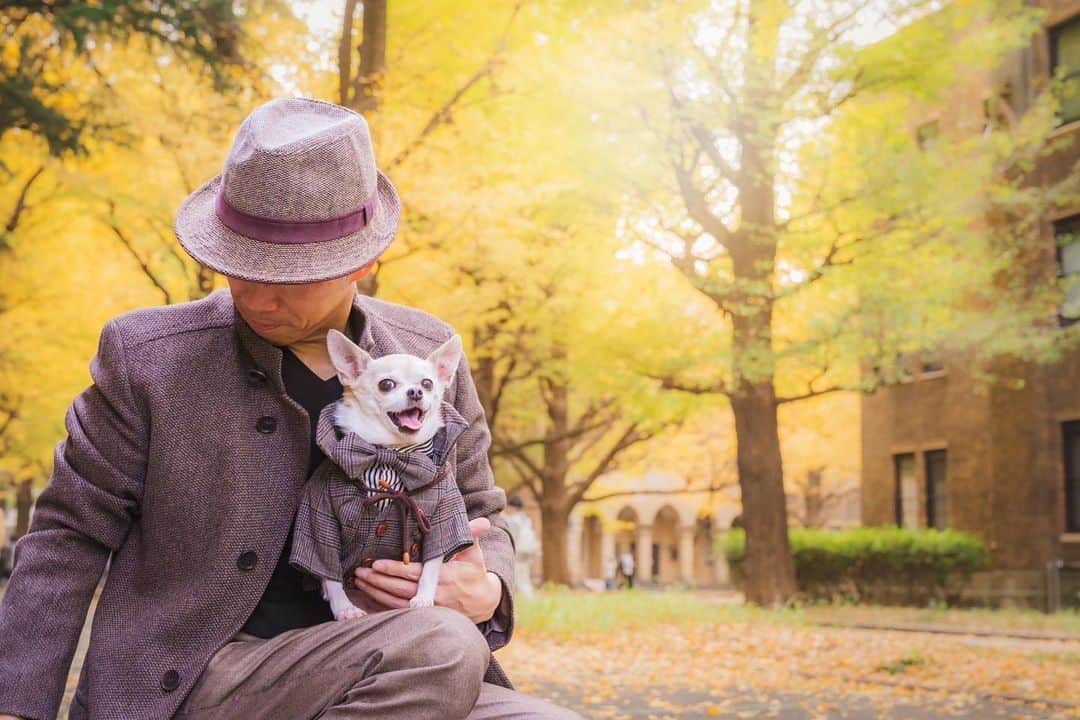 紋次郎さんのインスタグラム写真 - (紋次郎Instagram)「Thanks @mieco0526   加工はしてないけど、実際の飼い主こんなに格好良くないです🤣 被写体の魅力を引き出してるのは技術だけじゃない気がする！ 日常を切り取り思い出にしてくれるポートレートに、 毎回感謝と感動でいっぱい！ #dog#dogstagram#instadog#chihuahua#barkbox#mydogiscutest#buzzfeed#dog_features#fluffypack#barkpack#dogsofinstagram#犬#チワワ#手作り#handmade#着物#fashion#紋次郎一家#チーム茶#ふわもこ部#igersjp#peco犬部#dogfashion #whisky」12月1日 18時31分 - montjiro