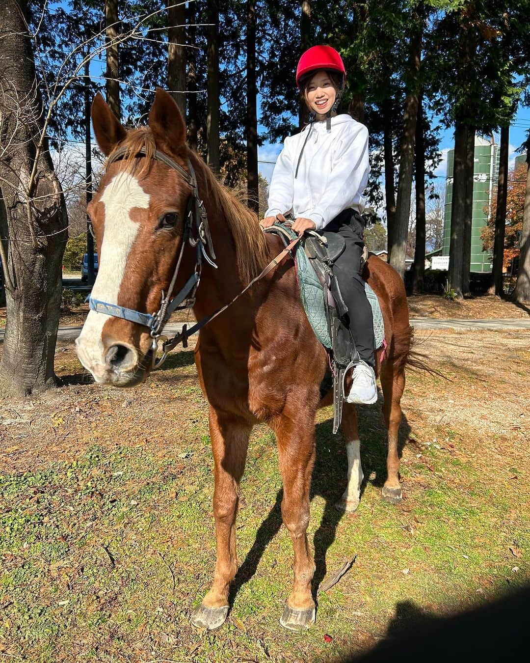 下門美春さんのインスタグラム写真 - (下門美春Instagram)「11/23-24🐎 時系列逆になっちゃったけど、 大田原マラソンは予想以上に足止まってしまい後半20kmはダウンjogしながら救護車探したけど見当たらなくて20km走って帰ってきた😂笑 引退後のダラダラ生活から練習始めて1ヶ月半の急ピッチ仕上げだけどまとめられると思ったんだけどなぁ。。苦笑 1ヶ月前の40km走後は体おかしくなっちゃって1週間くらい下痢続きで足に力入らなくなってポイント以外はほぼ走ってない感じで、練習は上手くまとめてるようで体への負担はすごかったね🫠⚡️っていう言い訳だけ置いとく🙃笑 現役じゃないし言い訳くらいいいよね笑 でも体には刺激入ったみたいで今はまぁまぁいい感じ(坐骨は痛いけど)🙂笑 一応年明けのハイテクハーフ走るよ🙃笑  大田原マラソン後は那須のエピナールに泊まって、 千本松牧場で乗馬してきた😌🐎 かわちい🫰🐴 #japan #marathon #runner #running #training #マラソン #マラソン女子 #ランニング #ランニング女子 #トレーニング #はしりますたぐらむ」12月1日 18時35分 - 38shimo