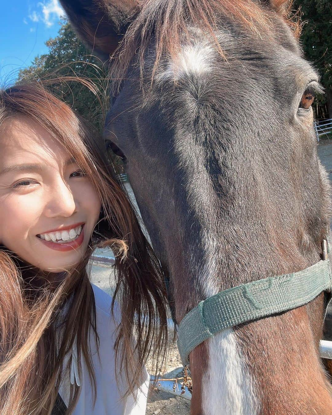 下門美春のインスタグラム：「11/23-24🐎 時系列逆になっちゃったけど、 大田原マラソンは予想以上に足止まってしまい後半20kmはダウンjogしながら救護車探したけど見当たらなくて20km走って帰ってきた😂笑 引退後のダラダラ生活から練習始めて1ヶ月半の急ピッチ仕上げだけどまとめられると思ったんだけどなぁ。。苦笑 1ヶ月前の40km走後は体おかしくなっちゃって1週間くらい下痢続きで足に力入らなくなってポイント以外はほぼ走ってない感じで、練習は上手くまとめてるようで体への負担はすごかったね🫠⚡️っていう言い訳だけ置いとく🙃笑 現役じゃないし言い訳くらいいいよね笑 でも体には刺激入ったみたいで今はまぁまぁいい感じ(坐骨は痛いけど)🙂笑 一応年明けのハイテクハーフ走るよ🙃笑  大田原マラソン後は那須のエピナールに泊まって、 千本松牧場で乗馬してきた😌🐎 かわちい🫰🐴 #japan #marathon #runner #running #training #マラソン #マラソン女子 #ランニング #ランニング女子 #トレーニング #はしりますたぐらむ」