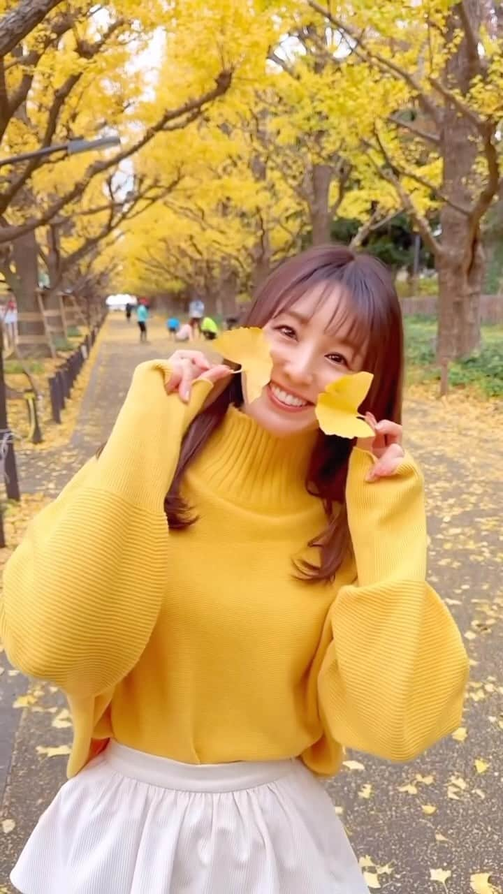 松中みなみのインスタグラム：「外苑前のいちょう並木🌳 見頃になってましたよ〜💛💛💛  とにかくすっごい人が多いらしいので 朝イチに行くのがオススメ🏃‍♀️（これ朝7時☀️）  Golden glowing yellow ginkgo trees along the side of the road Gaienmae🌳💛💛  #銀杏並木 #外苑前 #Tokyo」