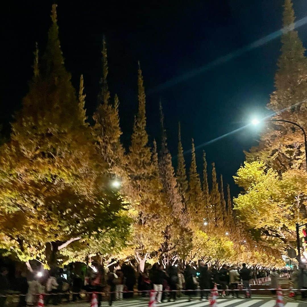 藤沢久美のインスタグラム：「絵画館前は銀杏の紅葉真っ盛り。 #絵画館前銀杏並木」