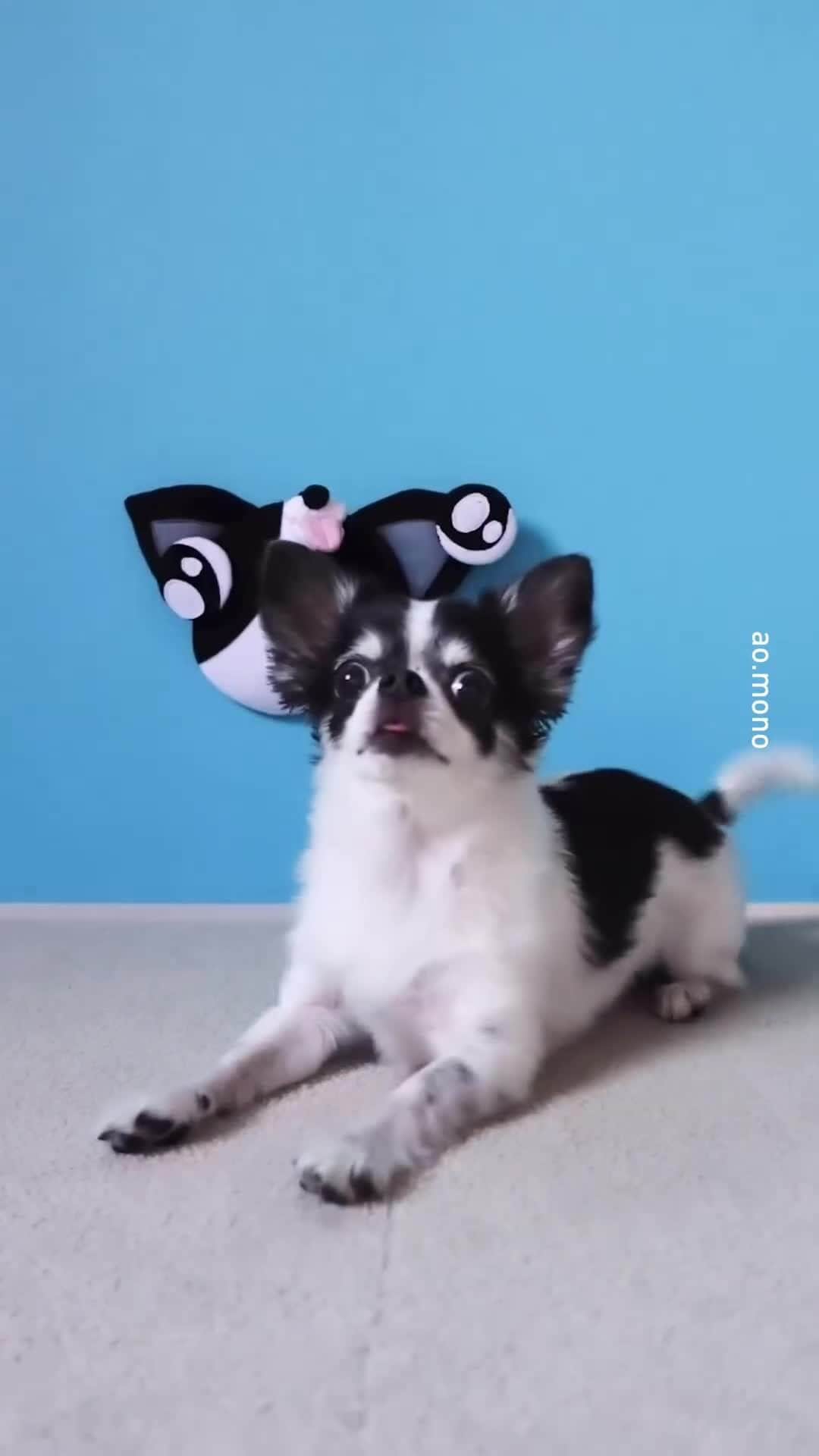 9GAGのインスタグラム