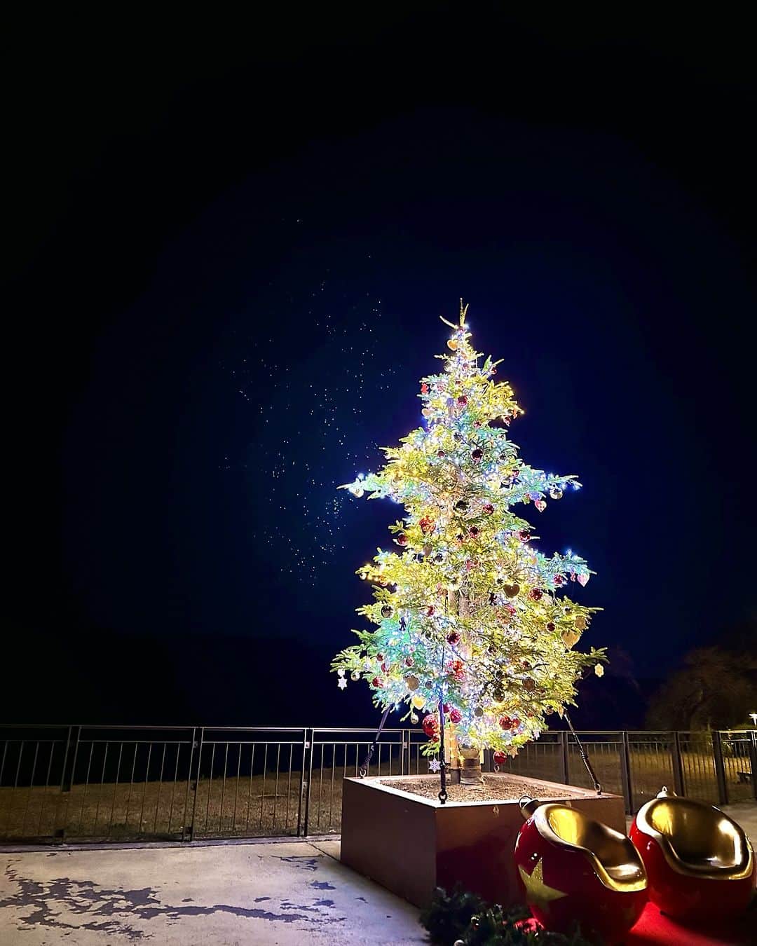 SAYUKAのインスタグラム：「𝐇𝐞𝐥𝐥𝐨 𝐃𝐞𝐜𝐞𝐦𝐛𝐞𝐫 🎄❄️  きらきらが反射して 雪みたいにうつった💫」