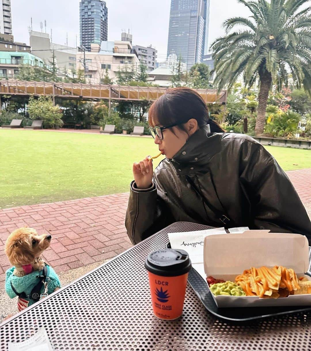 中山莉子さんのインスタグラム写真 - (中山莉子Instagram)「→ 食べたそうに見つめるウク この後、ちゃんとウクにもおやつをあげました😂 ⁡  #dog #犬 #愛犬 #マルプー #いぬすたぐらむ #dogstagram #犬のいる暮らし #かわいい」12月1日 19時42分 - nakayama_riko_official