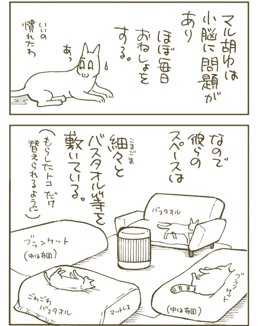 くるねこ大和のインスタグラム