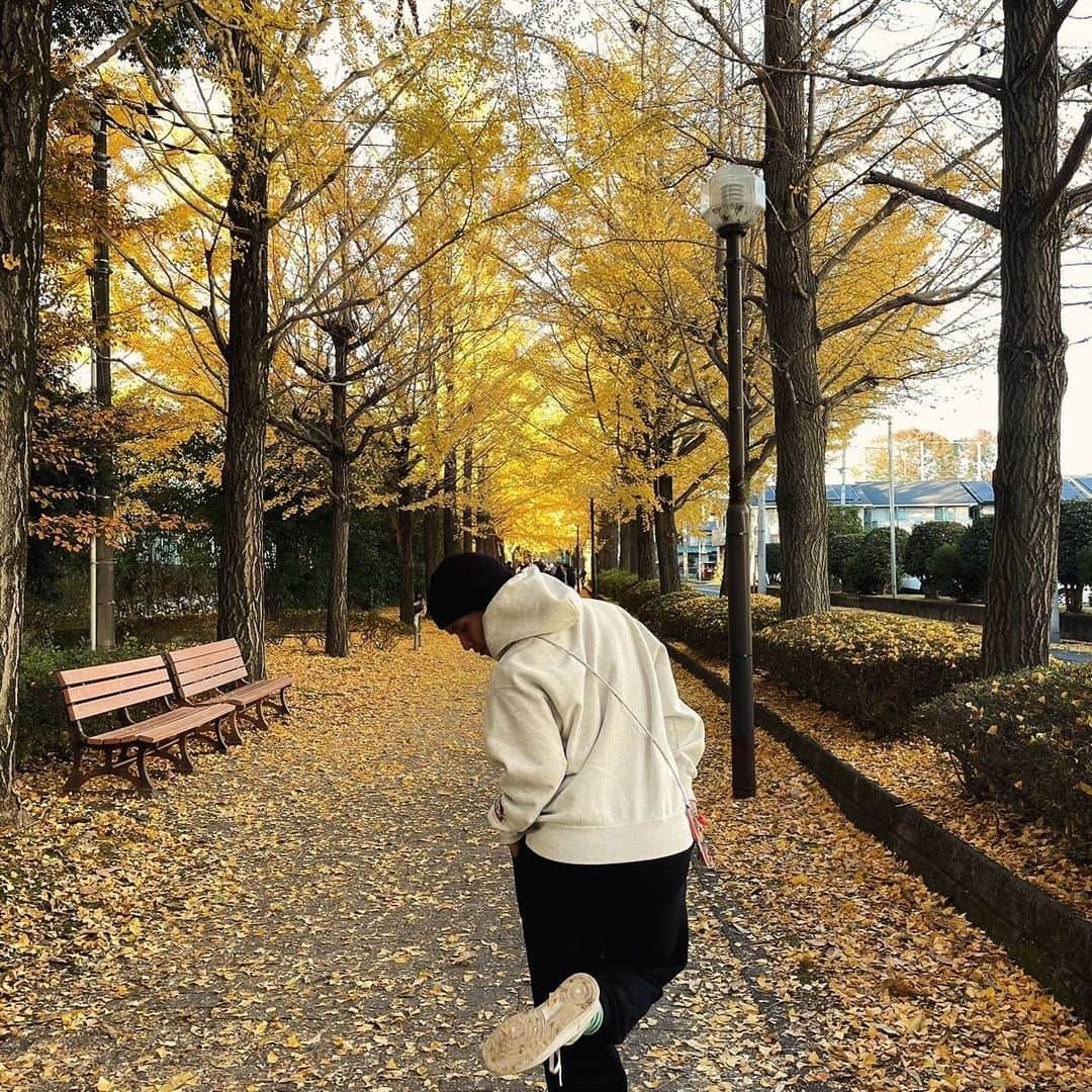 濱口草太さんのインスタグラム写真 - (濱口草太Instagram)「イチョウの絨毯🍂  最高な季節だ  #Bayer04Leverkusen #dayoff #3939」12月1日 20時08分 - sh_522sh