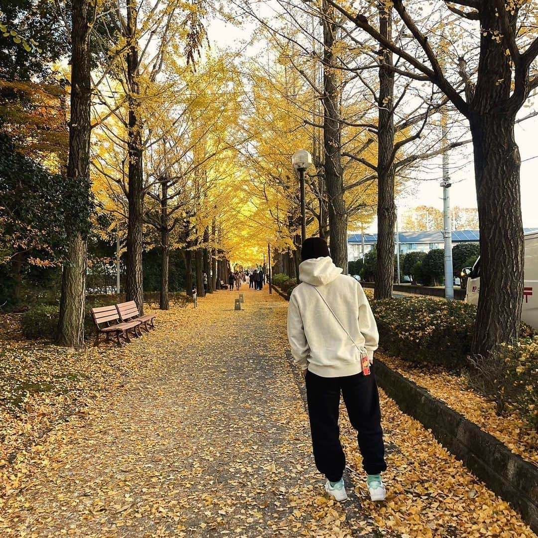 濱口草太のインスタグラム：「イチョウの絨毯🍂  最高な季節だ  #Bayer04Leverkusen #dayoff #3939」