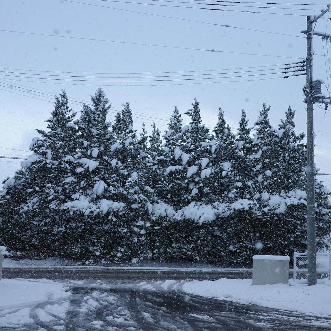中林美和さんのインスタグラム写真 - (中林美和Instagram)「初めての青森へ❄️ 飛行機を降りたら予想外の大雪でしたが 大勢のスタッフの皆さんと2日間 楽しいお仕事でした！ またゆっくり来たいなー🍎  #青森#撮影#詳しいお知らせは来年に♡」12月1日 20時08分 - miwanakabayashi