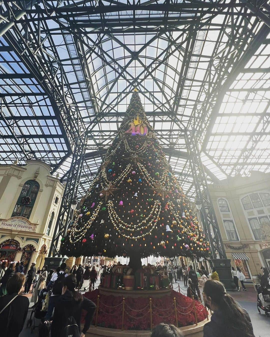 星村麻衣さんのインスタグラム写真 - (星村麻衣Instagram)「1年ぶりのディズニーランド🏰✨ 朝から全力で遊んで夢のような時間でした🥰❤️💜🧡 またすぐ行きたい‼️ 次は子連れシーかなぁ🏝🫧 #ディズニーランド #40周年ディズニー  #クリスマスディズニー」12月1日 20時09分 - hoshimuramai