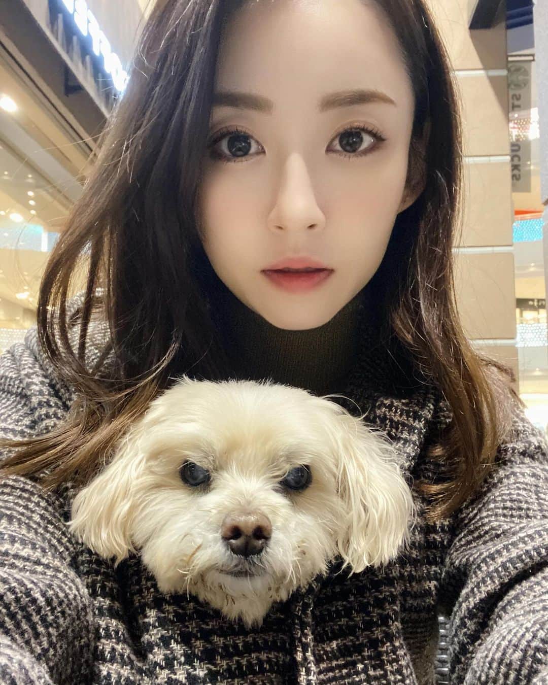 山上紗和 のインスタグラム：「先日、我が家の愛犬ぐぅさんが15歳のお誕生日を迎えました🐶🎂  立派な老犬なので胃の負担になるものは良くないかなと思い、11月7日のお誕生日当日は、大好物の焼き芋を山盛りあげました(笑) 案の定ぐぅさんは大喜びで完食🍠  去年、一昨年と、危ない時が何度もあり、持病も抱えているので、これが最後の誕生日祝いになるのかなぁ、、とか良からぬことを考えずには居られず。 15年も生きてくれている現実に感謝です。 というか、最近で今が1番元気かもしれない！ 先程も、お散歩していたら 👵｢まぁ～かわいいわんちゃん💕子犬ちゃんかしら？おいくつ？｣ と、聞かれてしまいました(笑)  15歳です！と言うと大体びっくりされます😂  👵｢え？！15歳ってこんなに元気なの？！わたし相手出来る自信無いわ。。｣とおっしゃってました、1歳のわんちゃん連れてたマダム(笑)  ぐぅさん、2回の大手術後はトイレもうまく行けなかったり、ずっと寝てばっかりで、 お散歩もよぼよぼで行きたがらず、何度も覚悟を決めるレベルだったのですが、  最近は、飛んだり跳ねたり走り回ったり出来るようにまで回復して、うるさいくらいです🥰  乳腺腫瘍が再再発して、もう手術が出来ないので、この先どうなるか安心は出来ませんが、 一緒に生きて居られるこの尊い時間を大切に、楽しく生活してもらえたらなと思います。 本当に我が家に来てくれて、いろいろな経験をさせてくれてありがとう🐶ぐぅさん。」
