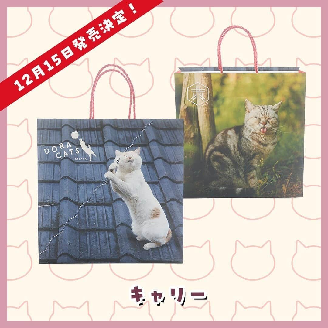 Masayukiさんのインスタグラム写真 - (MasayukiInstagram)「【予約受付中】東京の和菓子屋さん 喜田家とコラボ DORACATS🐈🍎  リンゴのコンポートに白あんを加えたおしゃんな餡を ねこのマズルの焼き印が入った皮で包んだ どら焼きが登場です。  かわいい猫の写真が入ったボックスと紙袋もいい感じに仕上がりました。 期間限定のバッチも入っておまけ盛沢山。 しかも、キャンペーンもするらしいです。  売上の一部が動物愛護活動の支援のため寄附されます。  12月15日発売ですが、今日から予約開始ですって。 クリスマスや忘年会、新年会に会う友達へのお土産にどうぞ。 ご希望でしたらメッセくださいー。 毎度のことながらURL送りつけます！  #cat #ねこ #猫 #喜田家 #六人衆 #どら焼き #doracats」12月1日 20時34分 - okirakuoki