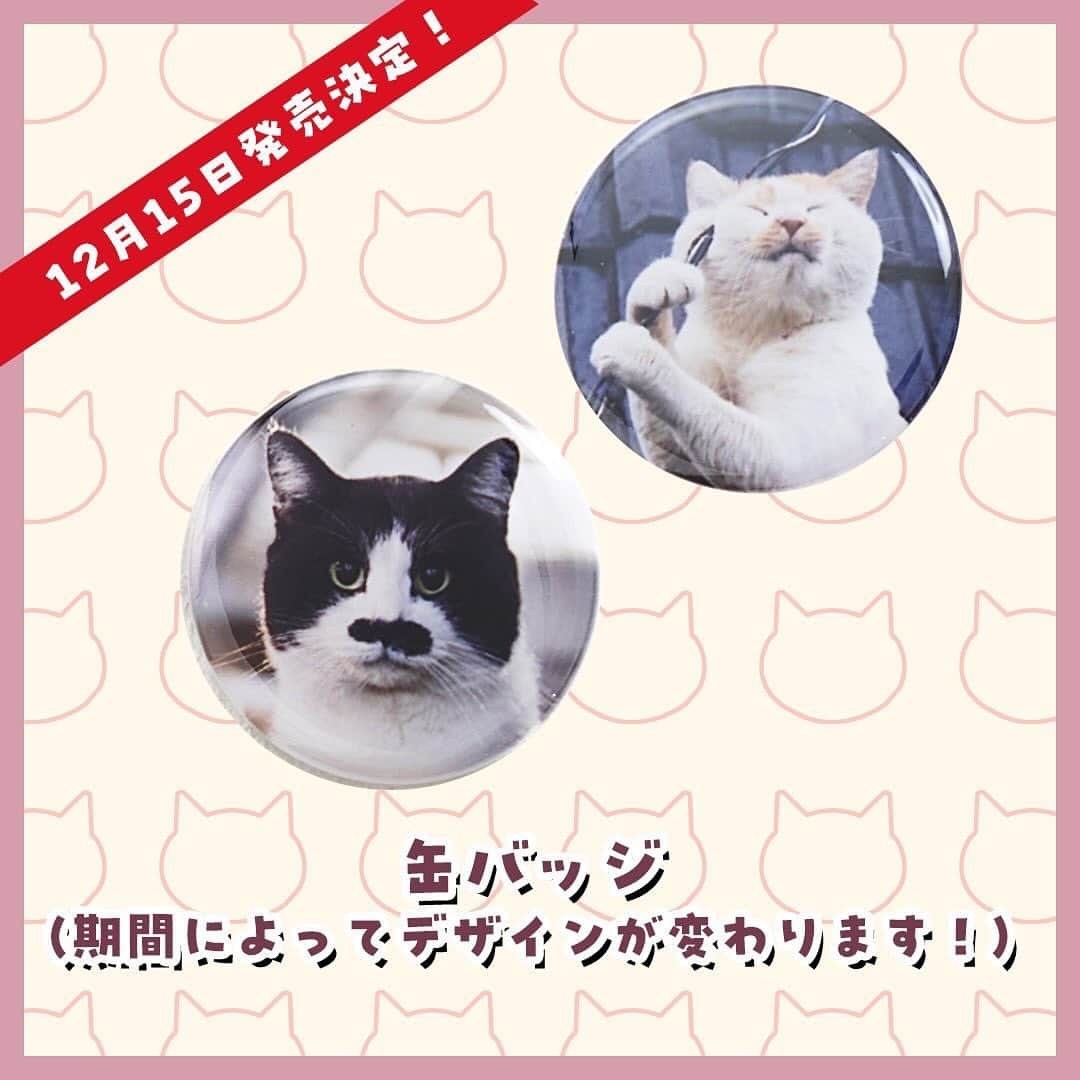 Masayukiさんのインスタグラム写真 - (MasayukiInstagram)「【予約受付中】東京の和菓子屋さん 喜田家とコラボ DORACATS🐈🍎  リンゴのコンポートに白あんを加えたおしゃんな餡を ねこのマズルの焼き印が入った皮で包んだ どら焼きが登場です。  かわいい猫の写真が入ったボックスと紙袋もいい感じに仕上がりました。 期間限定のバッチも入っておまけ盛沢山。 しかも、キャンペーンもするらしいです。  売上の一部が動物愛護活動の支援のため寄附されます。  12月15日発売ですが、今日から予約開始ですって。 クリスマスや忘年会、新年会に会う友達へのお土産にどうぞ。 ご希望でしたらメッセくださいー。 毎度のことながらURL送りつけます！  #cat #ねこ #猫 #喜田家 #六人衆 #どら焼き #doracats」12月1日 20時34分 - okirakuoki