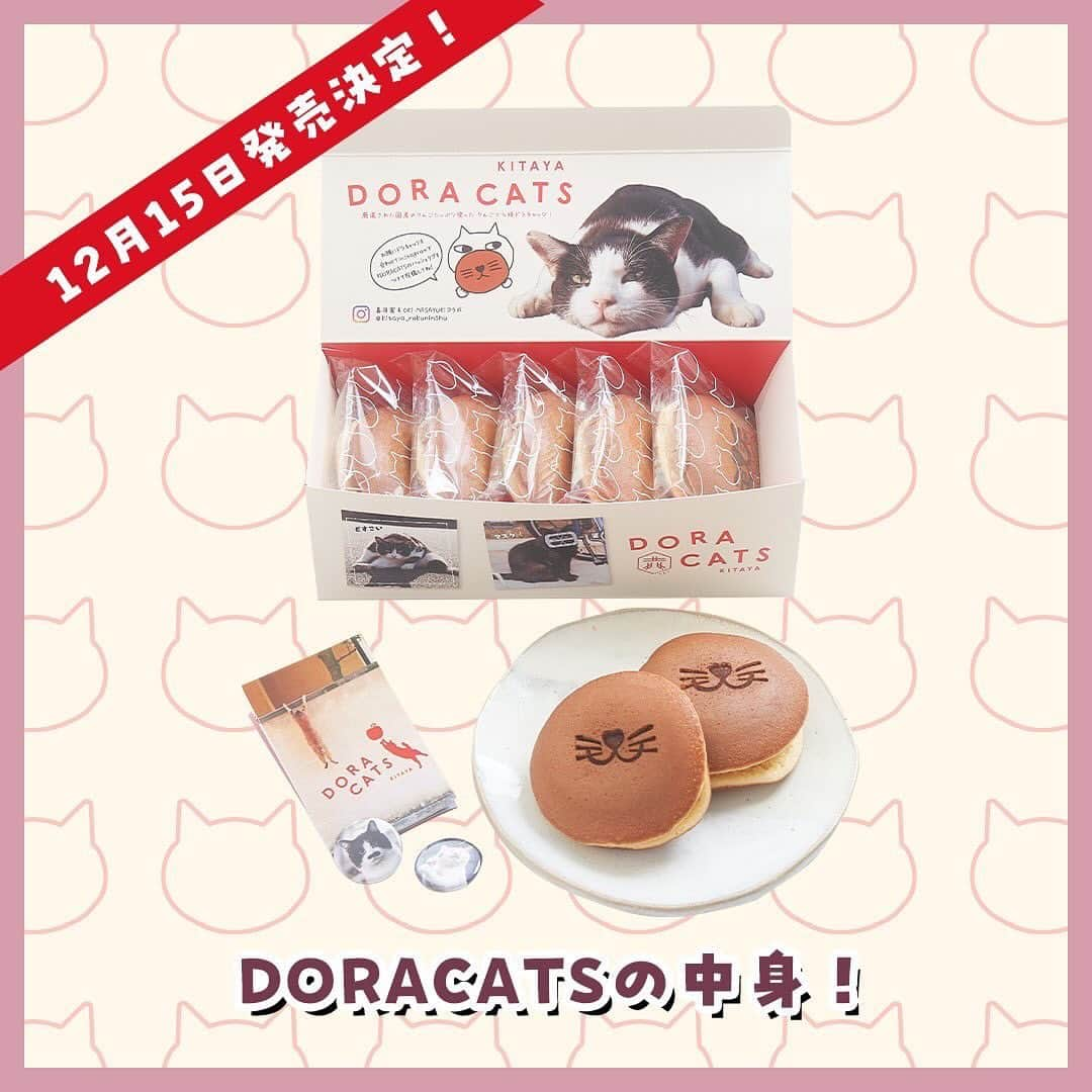 Masayukiさんのインスタグラム写真 - (MasayukiInstagram)「【予約受付中】東京の和菓子屋さん 喜田家とコラボ DORACATS🐈🍎  リンゴのコンポートに白あんを加えたおしゃんな餡を ねこのマズルの焼き印が入った皮で包んだ どら焼きが登場です。  かわいい猫の写真が入ったボックスと紙袋もいい感じに仕上がりました。 期間限定のバッチも入っておまけ盛沢山。 しかも、キャンペーンもするらしいです。  売上の一部が動物愛護活動の支援のため寄附されます。  12月15日発売ですが、今日から予約開始ですって。 クリスマスや忘年会、新年会に会う友達へのお土産にどうぞ。 ご希望でしたらメッセくださいー。 毎度のことながらURL送りつけます！  #cat #ねこ #猫 #喜田家 #六人衆 #どら焼き #doracats」12月1日 20時34分 - okirakuoki