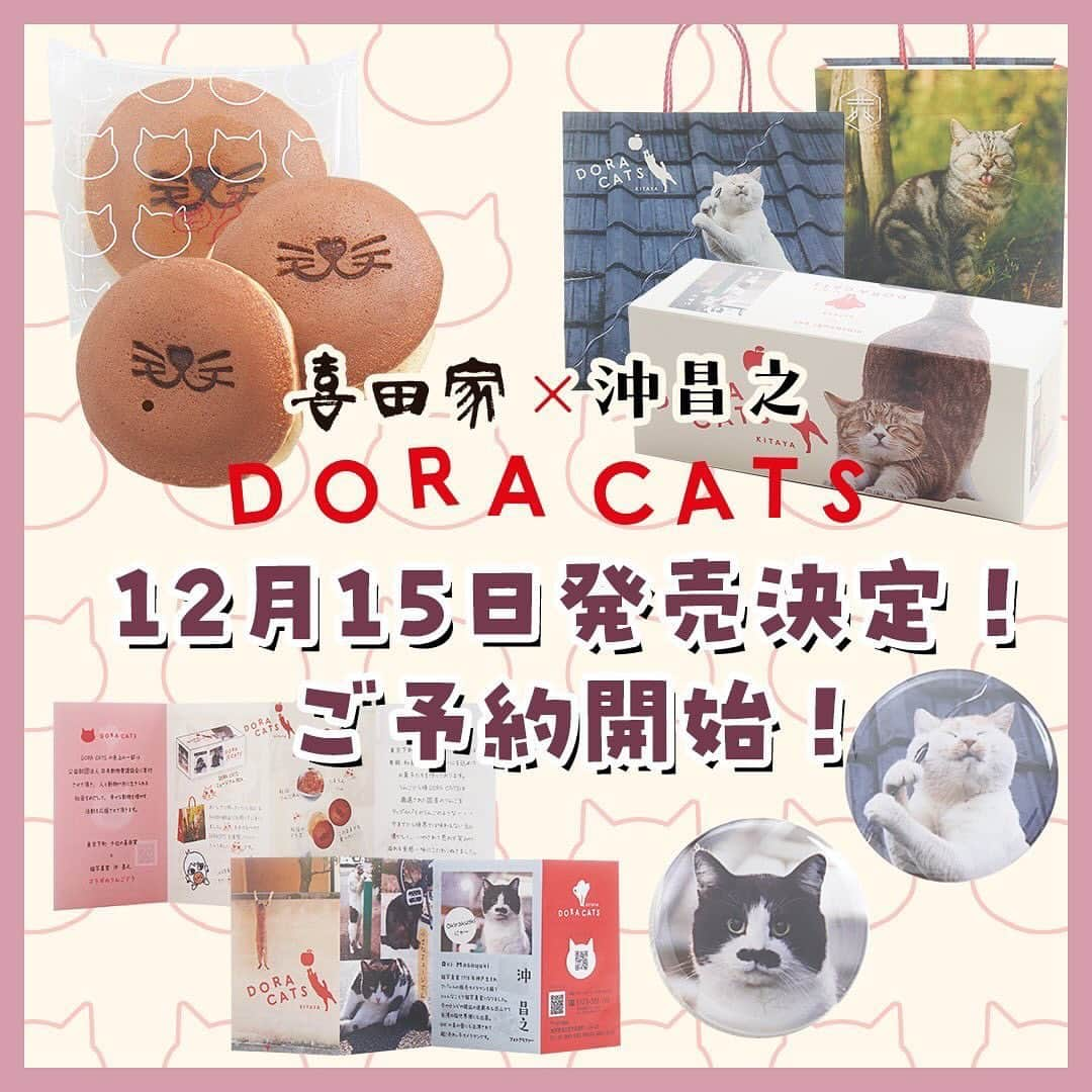 Masayukiのインスタグラム：「【予約受付中】東京の和菓子屋さん 喜田家とコラボ DORACATS🐈🍎  リンゴのコンポートに白あんを加えたおしゃんな餡を ねこのマズルの焼き印が入った皮で包んだ どら焼きが登場です。  かわいい猫の写真が入ったボックスと紙袋もいい感じに仕上がりました。 期間限定のバッチも入っておまけ盛沢山。 しかも、キャンペーンもするらしいです。  売上の一部が動物愛護活動の支援のため寄附されます。  12月15日発売ですが、今日から予約開始ですって。 クリスマスや忘年会、新年会に会う友達へのお土産にどうぞ。 ご希望でしたらメッセくださいー。 毎度のことながらURL送りつけます！  #cat #ねこ #猫 #喜田家 #六人衆 #どら焼き #doracats」