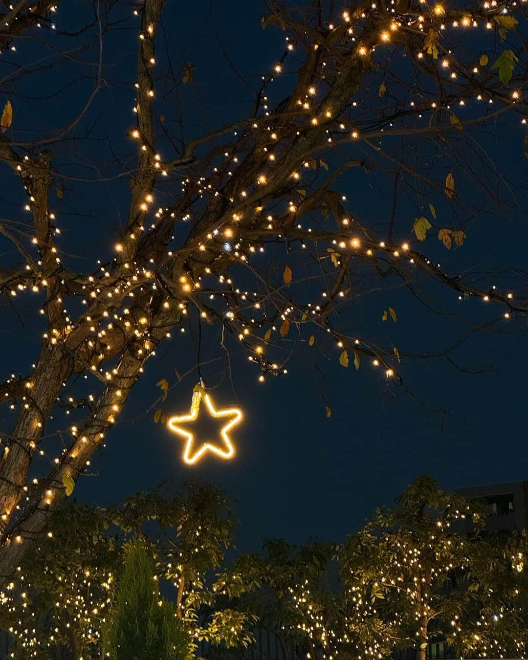 澤本夏輝さんのインスタグラム写真 - (澤本夏輝Instagram)「秋はいつしか冬となった🌲  #東京スカイツリー #スカイツリー #クリスマス #もうすぐやってる #12月こんにちわ  #皆さん #体調には気をつけて #お過ごしください」12月1日 20時45分 - natsukisawamoto_official