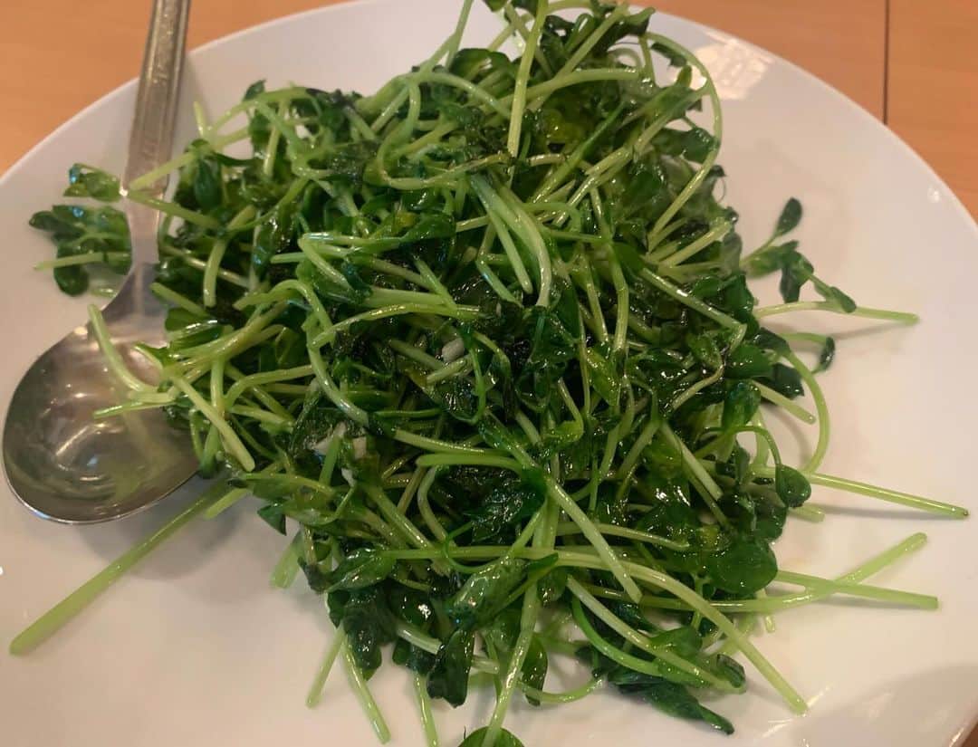 昴生さんのインスタグラム写真 - (昴生Instagram)「晩飯！！ #東京へ戻り #家族と友達と #晩ご飯！ #目黒菜館 さん！ #よく行く中華！ #かた焼きそば！ #うまいー！ #ごま油の効いたあんかけに細揚げ麺！ #これほんまめちゃめちゃうまい！ #今までなんで注文してなかったんやろ！ #豆苗！ #唐揚げ！ #エビチリ！ #酢豚！ #カニチャーハン！ #海老餃子！ #どれもうまいー！ #中華の好きなところはメニューの豊富さ！ #チャーハンだけでも6種類くらいあったり #ラーメンだけでも8種類くらいある！ #あと部門別で分けるなら #とろみ部門を設けてほしい！ #とろみがあるもので1ページ埋めてほしい！ #そのページにとろみかけてほしいくらい！ #とろみ専門店とかあったらええのに！」12月1日 22時57分 - mikikousei