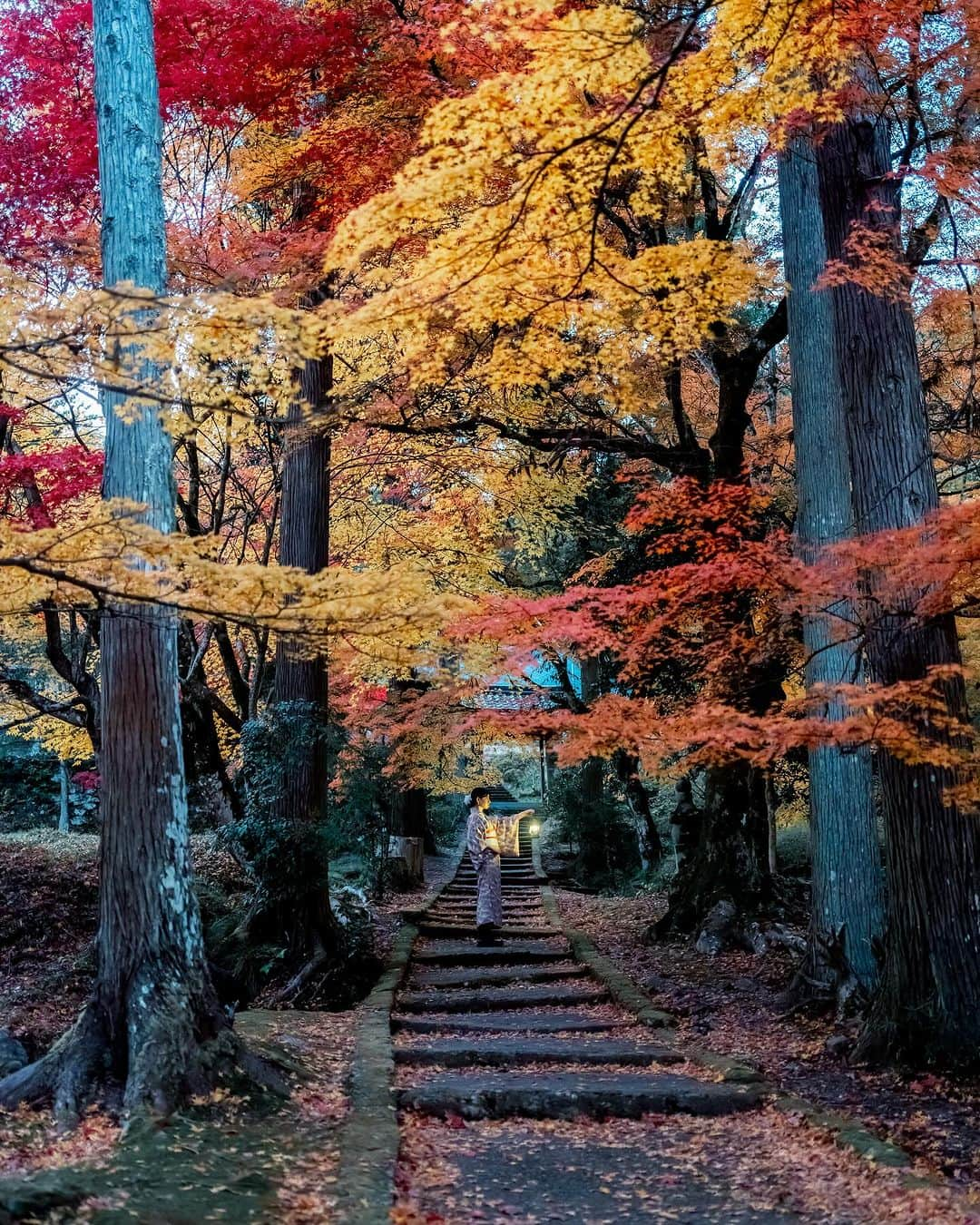 shabonのインスタグラム：「* . . . . . なかなか人が途切れなくて 待ってたら暗くなってしまった場所😂🍁 . 遠征で座って寝る技を習得したら 家でも座ったまま寝落ちする事が 増えてしまい困ってる🤣笑 . model : @rk19_photo . FUJIFILM GFX50S II /  GF45mm F2.8 R WR . . . . . . *」