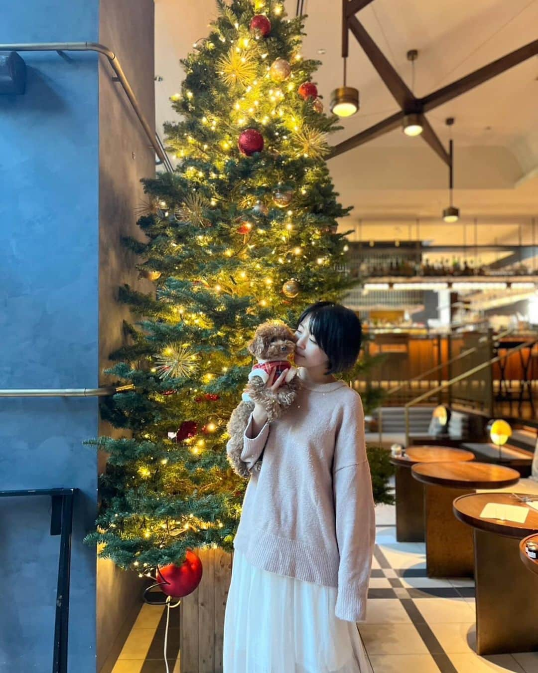 佐々木萌香さんのインスタグラム写真 - (佐々木萌香Instagram)「.  kimpton hotelの クリスマスツリー🎄✨🧣🪽𓂃𓈒 𓂂𓏸  フィちゃまはクリスマスっぽい 赤チェックのお洋服着て おめかししてお出かけです🧸🎄🎅🏻  飼い主はすっぴんにラフなお洋服でした🥹✩ 笑  クリスマスプレゼントそろそろ 考えないとな〜🫤💭💭  やっぱレバーの缶詰かなあ。笑  .  #佐々木萌香 #kimptonshinjukutokyo  #kimpton #都内犬カフェ #犬オッケーカフェ  #都内ランチ  #わんことお出かけ #犬とお出かけ  #トイプードル #トイプー #クリスマス #クリスマスツリー #クリスマスデート」12月1日 23時42分 - moeka_sasaki