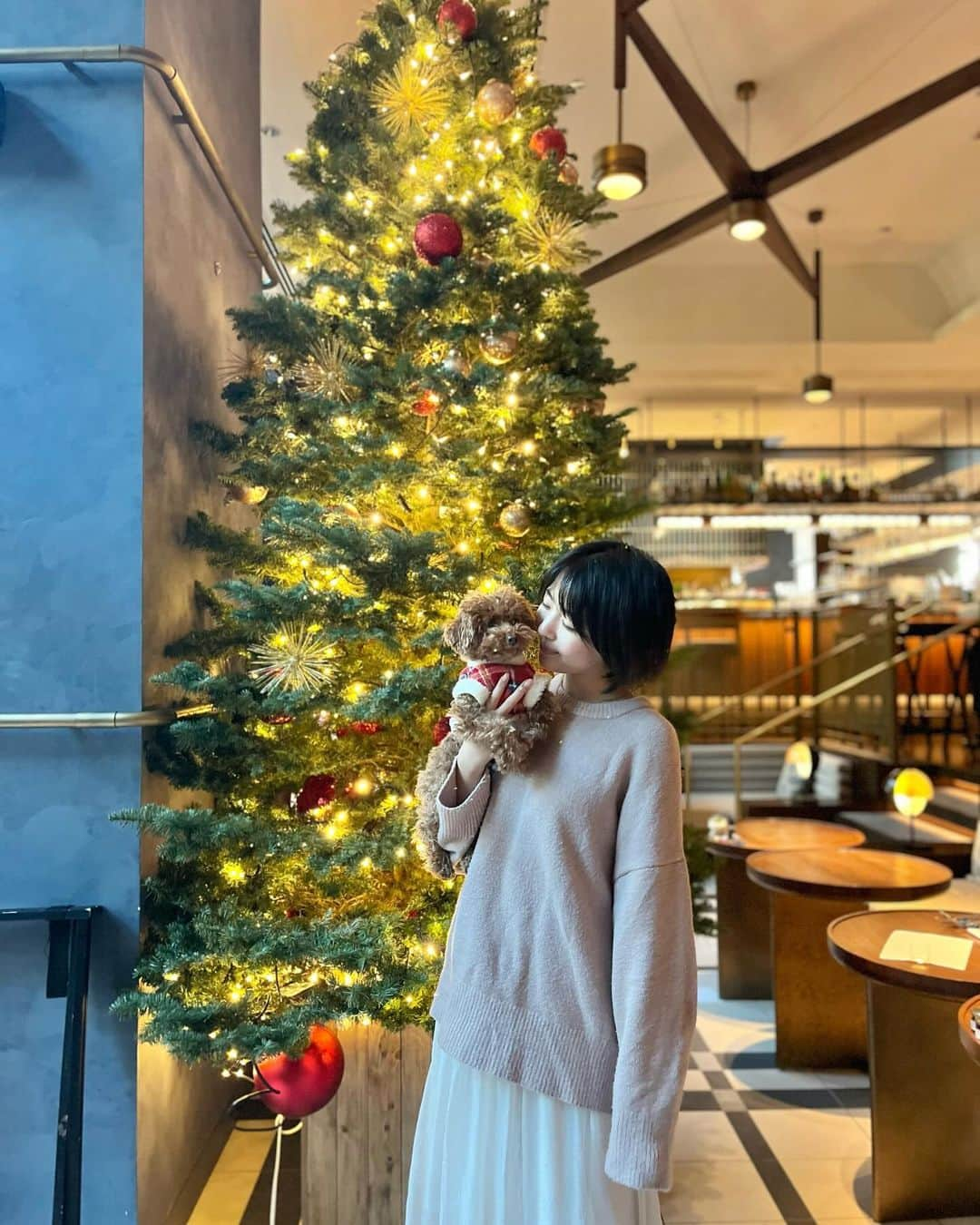 佐々木萌香のインスタグラム：「.  kimpton hotelの クリスマスツリー🎄✨🧣🪽𓂃𓈒 𓂂𓏸  フィちゃまはクリスマスっぽい 赤チェックのお洋服着て おめかししてお出かけです🧸🎄🎅🏻  飼い主はすっぴんにラフなお洋服でした🥹✩ 笑  クリスマスプレゼントそろそろ 考えないとな〜🫤💭💭  やっぱレバーの缶詰かなあ。笑  .  #佐々木萌香 #kimptonshinjukutokyo  #kimpton #都内犬カフェ #犬オッケーカフェ  #都内ランチ  #わんことお出かけ #犬とお出かけ  #トイプードル #トイプー #クリスマス #クリスマスツリー #クリスマスデート」