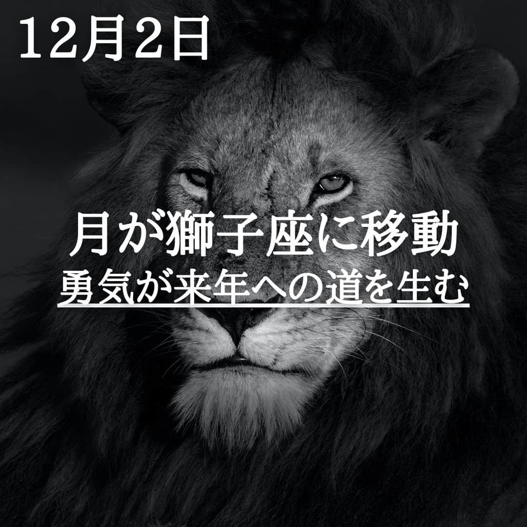 SOLARITAのインスタグラム：「【12月2日の運勢】 本日、月が獅子座に移動 誇りと勇気を持つことで 来年につながる道が見えてくる！ . . 本日午前1時、月が獅子座に移動します。月は私たちの心にそっと風を吹き込ます。今日明日の二日間、獅子座の月は私たちの心に誇りと勇気を取り戻してくれるはず。背筋を伸ばして歩くことで、見えてくる光景も変わるもの。遠くを見つめることで、進むべき道も見えてくるはずです。 . 月がもたらす影響は決して強くはないのですが、ちょっとした心の持ちようの変化が、大きな運命の転換へとつながることがあります。獅子座の月は、傷ついたあなたを鼓舞してくれるはず。 . #星占い　＃四柱推命　＃占星術」