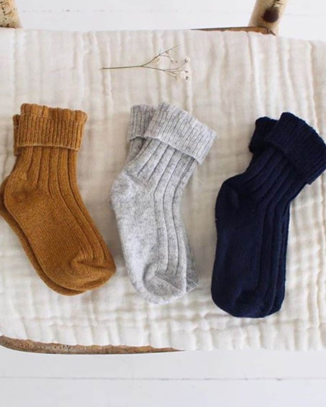 コレジアンさんのインスタグラム写真 - (コレジアンInstagram)「CHAMOIS . Discover our warm, soft and luxurious wool and cashmere socks! Available in a beautiful colour range ! 🤗 . Browse our collection and find the perfect gift for everyone! 😃 . Laissez-vous tenter par la douceur incroyable de nos chaussettes en LAINE & CACHEMIRE ! 🤩 . Partez à la conquète d'idées cadeaux pour votre famille et vos proches ! 😍 . . #collegiensocks #collegien_officiel #madeinfrance #extrasoft #bestsocksever #instamum #lacetrim #ruffle #slowfashion #ecofriendly #color #shades #collegiencolourpalette #colourpalette #brandidentity #socks #fw23 #키즈삭스 #꼴레지앙 #コレジアン #ベビーソックス #キッズソックス #海外子供服 #童裝 #童襪」12月2日 0時00分 - collegien_officiel