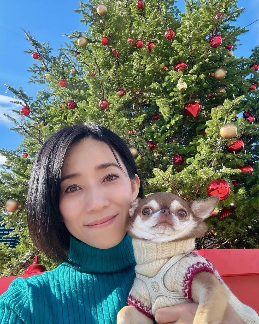 川田希のインスタグラム：「12月もよろしくお願いします🎄」