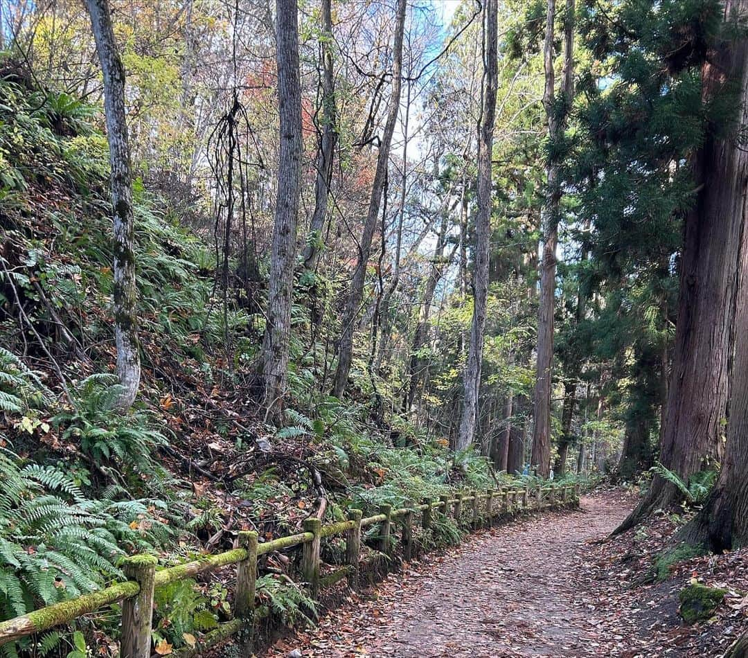 美蘭レンナさんのインスタグラム写真 - (美蘭レンナInstagram)「. . . 葉っぱを吹いてるわけではありません🍂 ゴジラではありません🦖笑  3枚目が種明かし😍🍁 これやりたかったんですよねぇ😁  ポーズも好きな服の色合いも 幼稚園から全然変わってない気がします😂😂😂 結局こういうカラフルが好きなんだろなぁ🌈 アイラブGAP🫶  あと十和田神社も参拝しました⛩️ 空気が澄み切っていて、自然が美しくて、 とても癒される不思議な場所でした😍✨✨✨  行った事のない都道府県もまだあと20くらいあります🗾 まだまだ知らない日本の文化や、 知らない土地も沢山訪れていきたいですね💓  青森秋田旅はこれにてThe end🍁🍂 来年また訪れます🍎🍎 ありがとう青森秋田💓🍁 . . . #青森#秋田#旅#旅行#東北 #大好きな場所#十和田湖#十和田神社 #日本列島#日本旅行#伝統文化 #日本舞踊#伝統#歴史 #japan#japon#japanese#culture #aomori#akita#towada」12月2日 0時08分 - renna_miran33