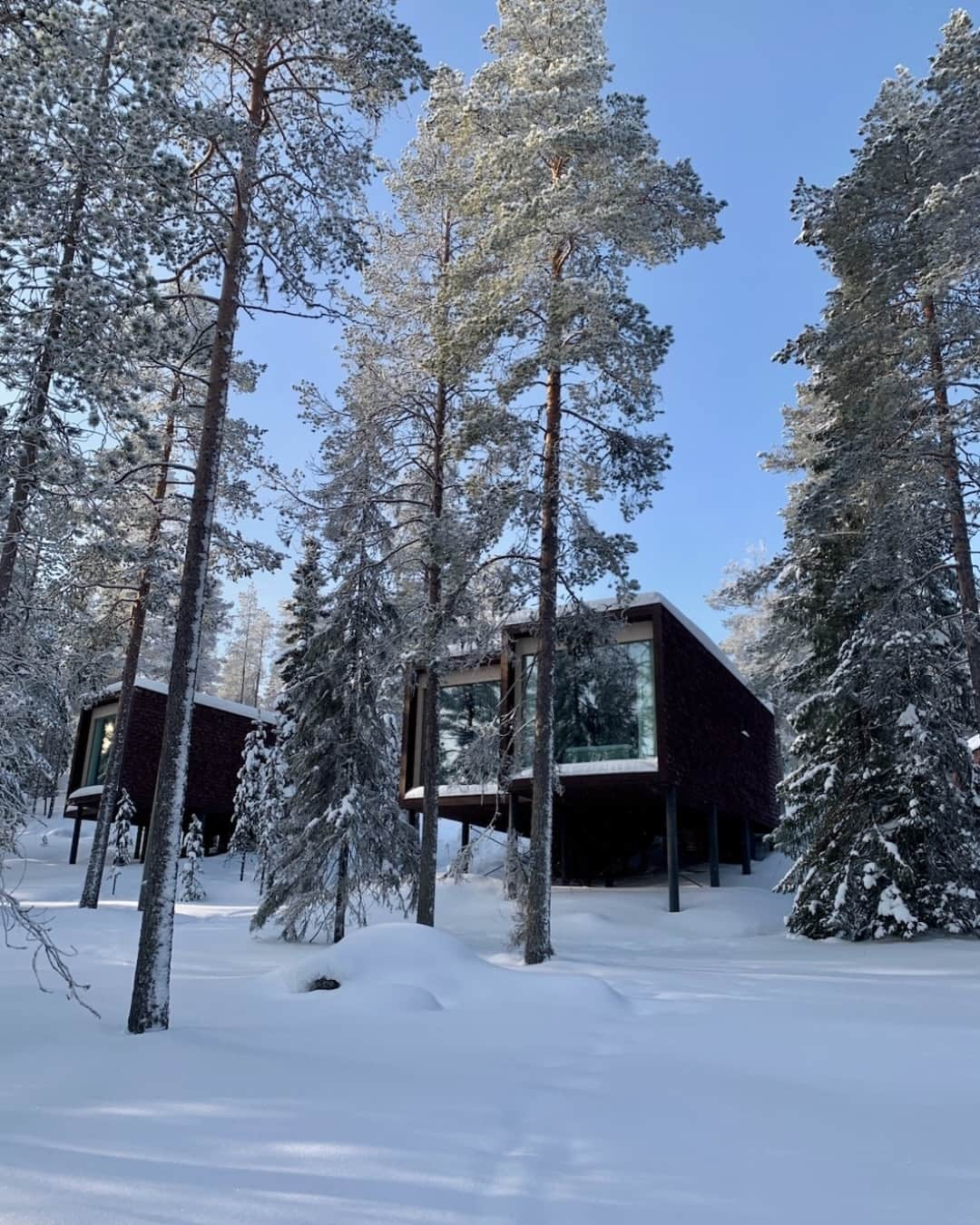 PicLab™ Sayingsさんのインスタグラム写真 - (PicLab™ SayingsInstagram)「Woke up in a winter wonderland in Lapland, Finland. We are here for these extra cozy vibes! Are you more into winter destinations like this one, or do you always lean towards a tropical destination?  🎥 @lumadeline 📍 @arctictreehousehotel」12月2日 3時11分 - paradise