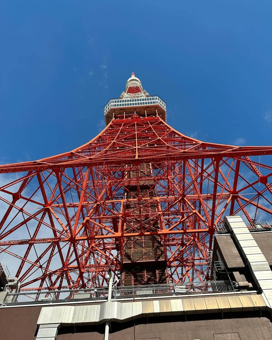 大桃美代子さんのインスタグラム写真 - (大桃美代子Instagram)「ライトアップされた東京タワー。  美しく品がありました。  日本の高度成長期を見続け、  また新たな街として魅力が増している。  リリー・フランキーさんの、東京タワーの出しの文章が好きです。  東京タワーが軸となり、人々を吸い寄せていく。  東京タワーはただの電波塔ではなく、  日本の復興の拠り所だったのではないでしょうか？  イルミネーションも始まっています。  やっぱり東京って凄い街だと  実感。  感謝です。  #東京タワー#東京タワー展望台#333メートル#65周年＃虎ノ門」12月2日 5時42分 - miyoko_omomo