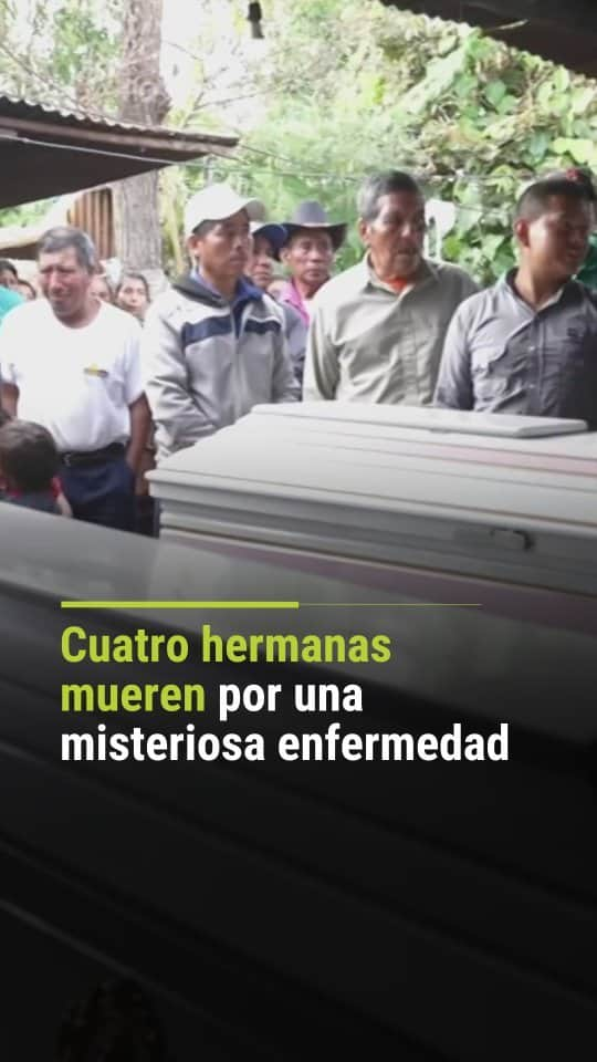 Primer Impactoのインスタグラム：「📌 Cuatro hermanas mueren por una enfermedad desconocida, mientras que otra menor lucha por sobrevivir.  Reporta @erickaporrastudiotv  📺 Más en Primer Impacto a las 5pm/ 4C de lunes a viernes por @univision   #enfermedad #familia #hermanas #muerte #PrimerImpacto」