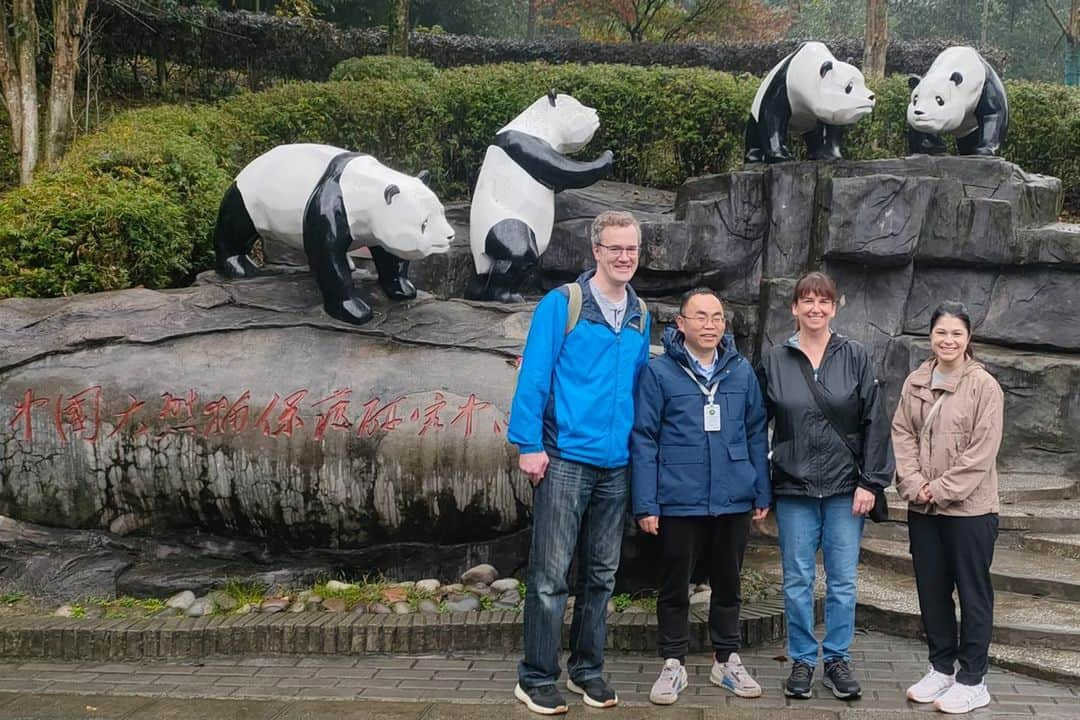 スミソニアン国立動物園のインスタグラム：「❤️🐼 Giant pandas Tian Tian, Mei Xiang and Xiao Qi Ji are settling in nicely in their new home at the China Conservation and Research Center for the Giant Panda. Our team shares some of their favorite memories from their trip in this Q+A.✏️STORY: https://s.si.edu/3sYJHLk. (Link in bio.) #PandaStory . . .  Photo description: The Zoo's giant panda team stands in front of several giant panda statues at the China Conservation and Research Center for the Giant Panda in Wolong. They are joined by one of their Chinese colleagues.」