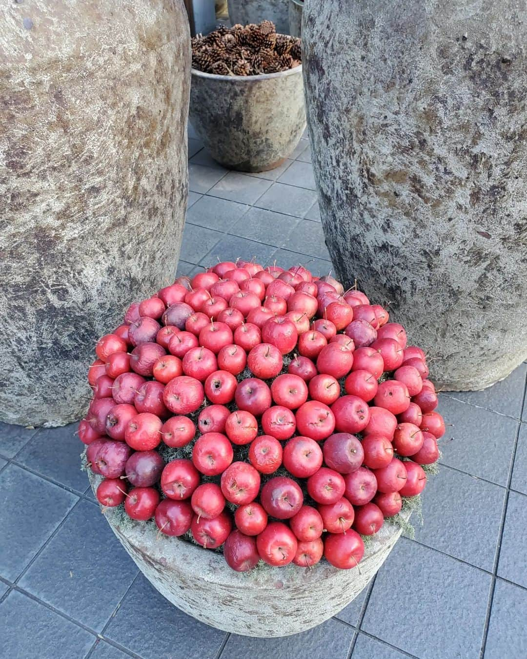 植松晃士さんのインスタグラム写真 - (植松晃士Instagram)「土曜日のお茶　❤️🤭 トークテーマは今年の振り返り」12月2日 15時39分 - kojiuematsu