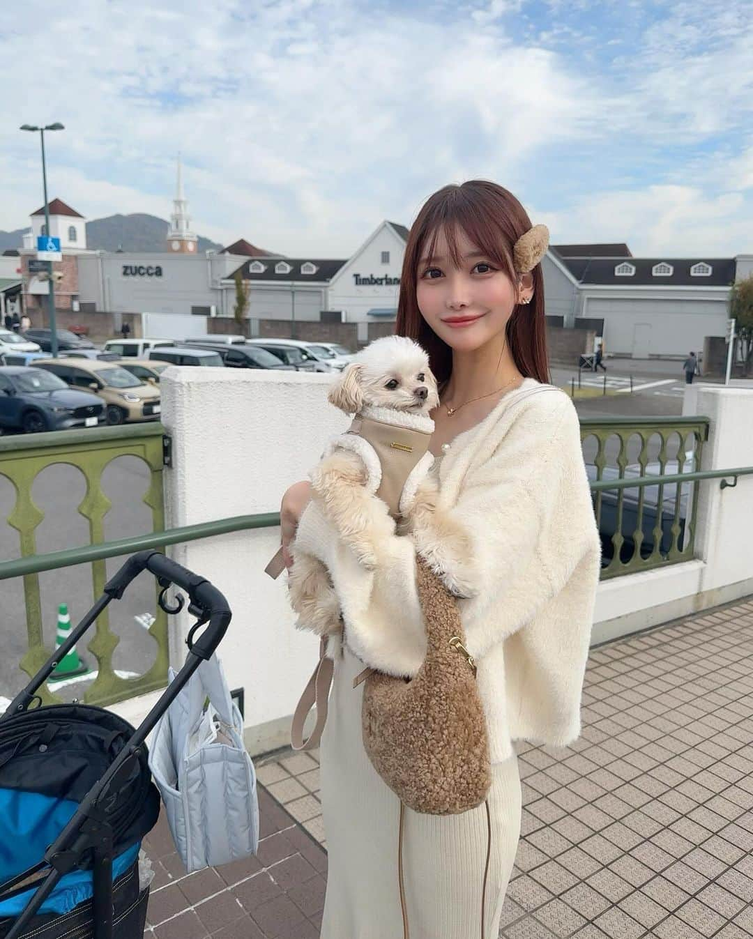 MAYUのインスタグラム：「. きなちゃんとドライブしてアウトレットに行ってみた🐶🚗 アウトレットだとわんこ連れでも気軽にお店に入れるから嬉しい☺️🤍 . きなちゃんもるんるんで楽しそうだった🐶🤍 . . #ootd#fashion#fashionstyle#miumiu#chihuapoo#ちわぷー#チワプー#チワプー男の子#mix犬#佐野プレミアムアウトレット」