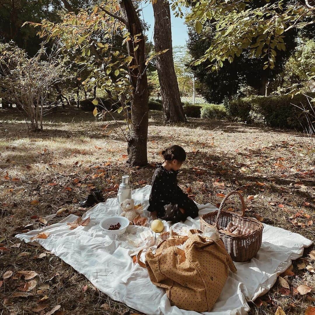 yuiさんのインスタグラム写真 - (yuiInstagram)「Autumn picnic🍂  薄手のワンピースでちょうど良かった 季節がすでに懐かしい...  ほーんとに 短かすぎた秋。  もっとたくさんピクニックや 秋ならではのアクティビティするつもりが 全然タイミングがなかったなぁ🫥  でもいつもの公園で のんびりサンドイッチ食べて 落ち葉やりんごで遊んで しあわせってこういうことだなぁと 感じられる ゆったりとしたひとときでした💭  ワンピースは @bonpoint 🍒 #pr させてもらった @carryon_official にて🛒 @bonton のビッグトートも ピクニックに大活躍でした⭐️  . . . . . #picnic#autumn#daughter#3y7m#ピクニック#秋#落ち葉遊び#落ち葉アート#公園#海外こどもふく#こどもふく#女の子#女の子ママ#こどものいる暮らし」12月2日 8時19分 - __yyvvii