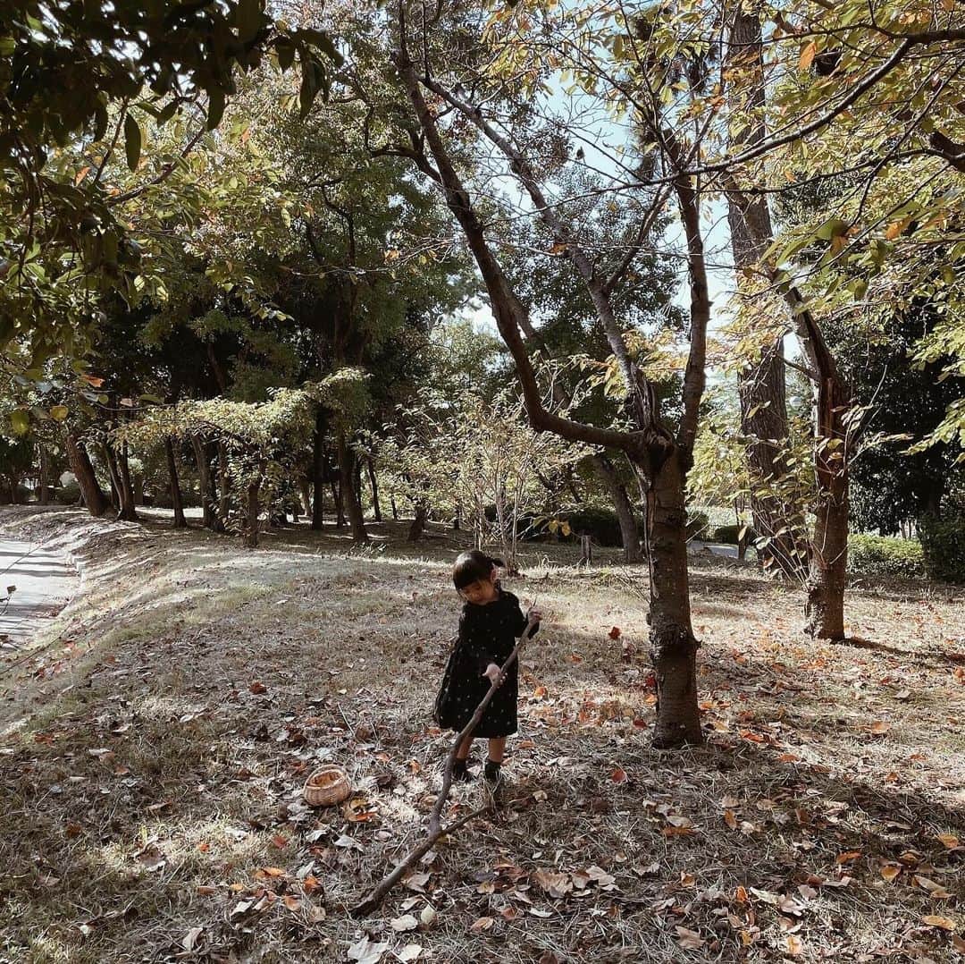 yuiさんのインスタグラム写真 - (yuiInstagram)「Autumn picnic🍂  薄手のワンピースでちょうど良かった 季節がすでに懐かしい...  ほーんとに 短かすぎた秋。  もっとたくさんピクニックや 秋ならではのアクティビティするつもりが 全然タイミングがなかったなぁ🫥  でもいつもの公園で のんびりサンドイッチ食べて 落ち葉やりんごで遊んで しあわせってこういうことだなぁと 感じられる ゆったりとしたひとときでした💭  ワンピースは @bonpoint 🍒 #pr させてもらった @carryon_official にて🛒 @bonton のビッグトートも ピクニックに大活躍でした⭐️  . . . . . #picnic#autumn#daughter#3y7m#ピクニック#秋#落ち葉遊び#落ち葉アート#公園#海外こどもふく#こどもふく#女の子#女の子ママ#こどものいる暮らし」12月2日 8時19分 - __yyvvii
