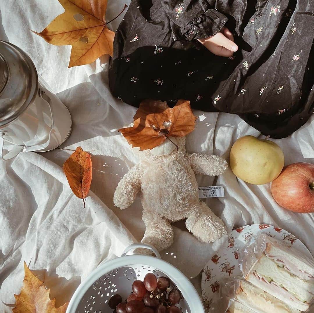 yuiさんのインスタグラム写真 - (yuiInstagram)「Autumn picnic🍂  薄手のワンピースでちょうど良かった 季節がすでに懐かしい...  ほーんとに 短かすぎた秋。  もっとたくさんピクニックや 秋ならではのアクティビティするつもりが 全然タイミングがなかったなぁ🫥  でもいつもの公園で のんびりサンドイッチ食べて 落ち葉やりんごで遊んで しあわせってこういうことだなぁと 感じられる ゆったりとしたひとときでした💭  ワンピースは @bonpoint 🍒 #pr させてもらった @carryon_official にて🛒 @bonton のビッグトートも ピクニックに大活躍でした⭐️  . . . . . #picnic#autumn#daughter#3y7m#ピクニック#秋#落ち葉遊び#落ち葉アート#公園#海外こどもふく#こどもふく#女の子#女の子ママ#こどものいる暮らし」12月2日 8時19分 - __yyvvii