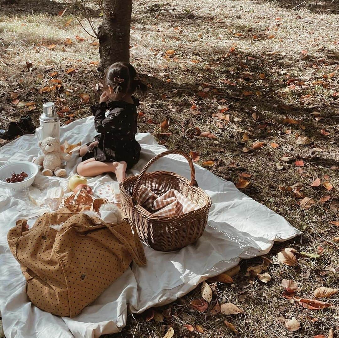 yuiのインスタグラム：「Autumn picnic🍂  薄手のワンピースでちょうど良かった 季節がすでに懐かしい...  ほーんとに 短かすぎた秋。  もっとたくさんピクニックや 秋ならではのアクティビティするつもりが 全然タイミングがなかったなぁ🫥  でもいつもの公園で のんびりサンドイッチ食べて 落ち葉やりんごで遊んで しあわせってこういうことだなぁと 感じられる ゆったりとしたひとときでした💭  ワンピースは @bonpoint 🍒 #pr させてもらった @carryon_official にて🛒 @bonton のビッグトートも ピクニックに大活躍でした⭐️  . . . . . #picnic#autumn#daughter#3y7m#ピクニック#秋#落ち葉遊び#落ち葉アート#公園#海外こどもふく#こどもふく#女の子#女の子ママ#こどものいる暮らし」