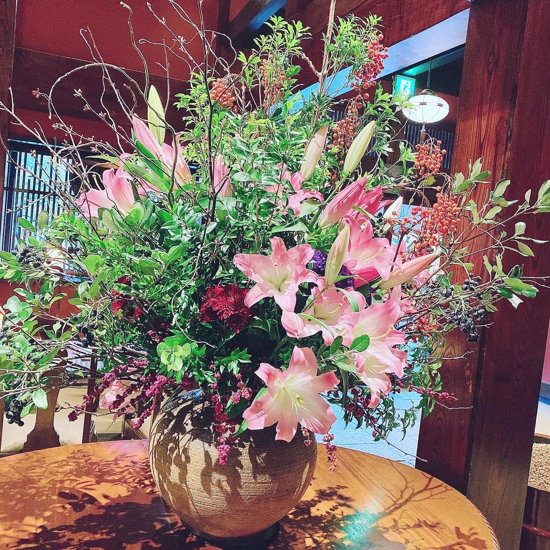 三浦泉さんのインスタグラム写真 - (三浦泉Instagram)「*♪¸¸.•*¨･:*ೄ·*♪¸¸.•*¨･:*ೄ*♪¸¸.•*¨･:*ೄ··*♪¸¸.•  　昨日伺った とうふ屋うかいさんのお花 @ukaishiba  とてもきれいでした。💐  　お食事も美味しくてまた再訪したいです💕💕  *♪¸¸.•*¨･:*ೄ·*♪¸¸.•*¨･:*ೄ*♪¸¸.•*¨･:*ೄ··*♪¸¸.•  #お花 #パワースポット #izumiのお花めぐり #いずみーるのお花めぐり #イズミールのお花めぐり #izumiのお花めぐり」12月2日 8時28分 - princessizu1201