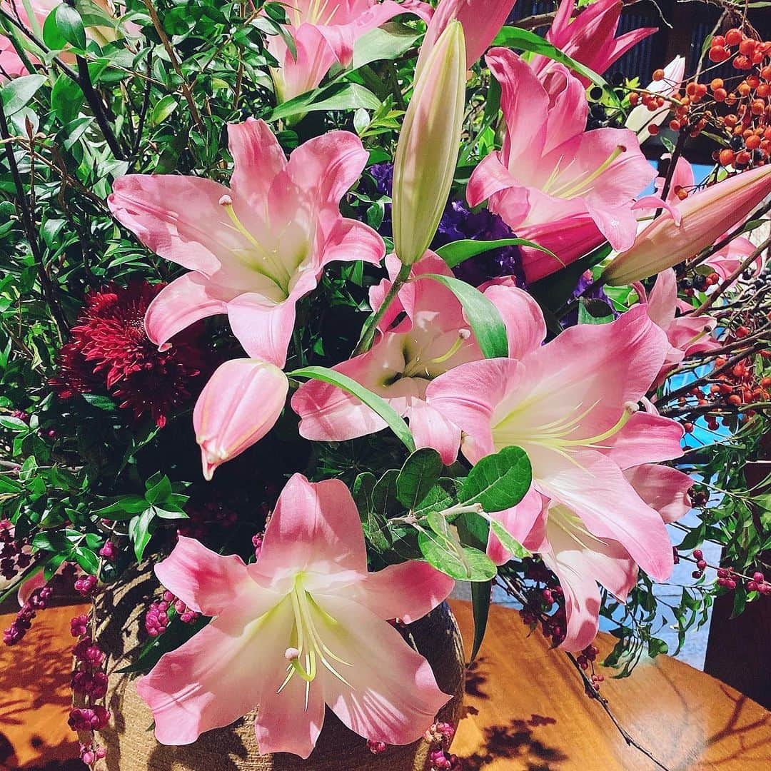 三浦泉さんのインスタグラム写真 - (三浦泉Instagram)「*♪¸¸.•*¨･:*ೄ·*♪¸¸.•*¨･:*ೄ*♪¸¸.•*¨･:*ೄ··*♪¸¸.•  　昨日伺った とうふ屋うかいさんのお花 @ukaishiba  とてもきれいでした。💐  　お食事も美味しくてまた再訪したいです💕💕  *♪¸¸.•*¨･:*ೄ·*♪¸¸.•*¨･:*ೄ*♪¸¸.•*¨･:*ೄ··*♪¸¸.•  #お花 #パワースポット #izumiのお花めぐり #いずみーるのお花めぐり #イズミールのお花めぐり #izumiのお花めぐり」12月2日 8時28分 - princessizu1201