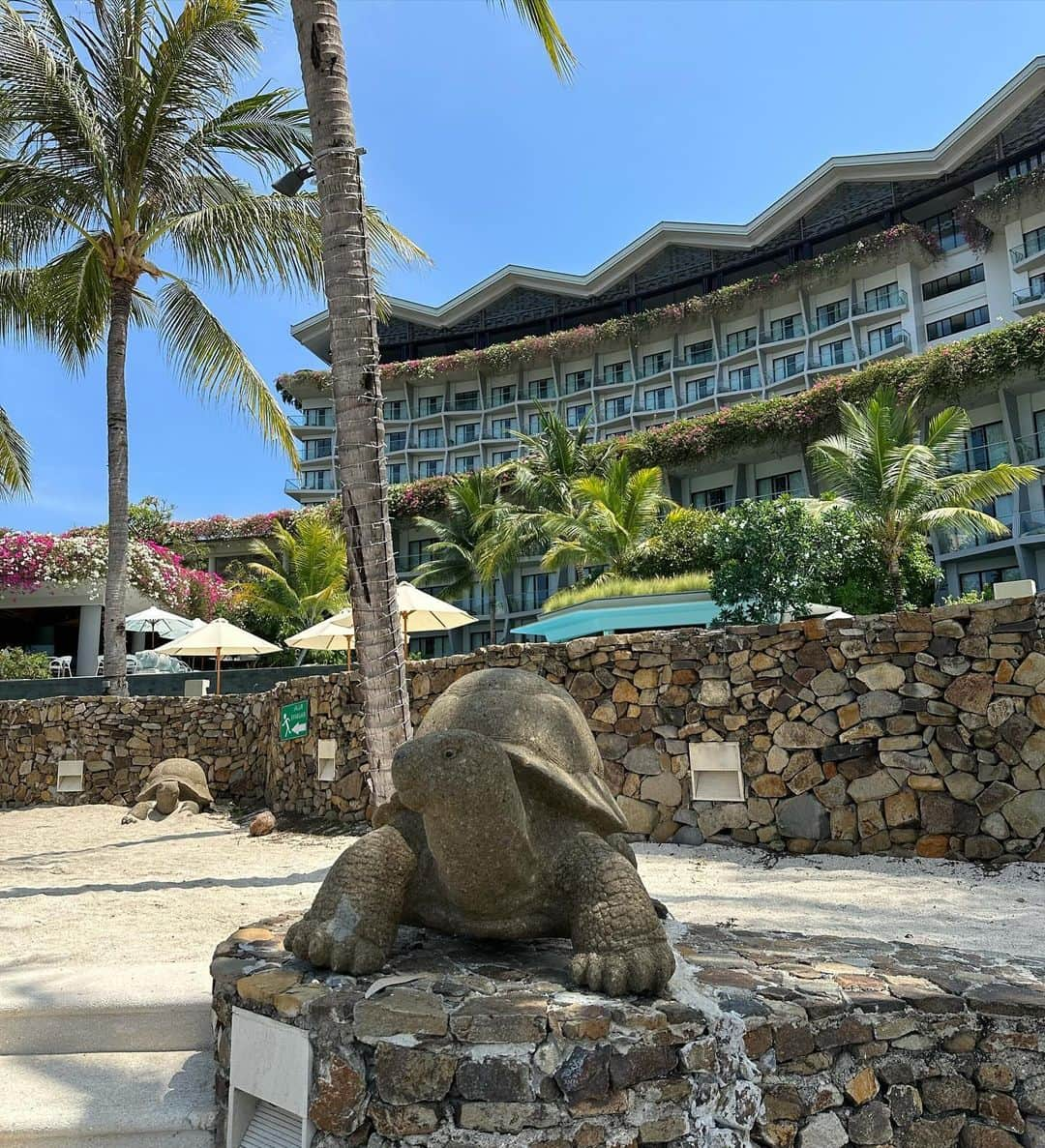 市原彩花さんのインスタグラム写真 - (市原彩花Instagram)「AYANA Komodo Waecicu Beach🏖️ @ayanakomodo   コモドで唯一のリゾートホテル🌺 さすが有名ホテルなだけあってとっても素敵🥹 コモドツアー目当てのお客さんがほとんどだから、日中プールは貸切状態🤭 しかも一部屋3.5万円〜とコスパ抜群😳 せっかくコモド来たら1泊だけでも泊まって欲しい☺️  ツアーで朝早い時は、前日にお願いすると朝食ビュッフェの代わりにお弁当用意してくれるよ😉  またお部屋とかも投稿するね☺️  #ayanaresort#ayanakomodo#アヤナコモド#リゾートホテル#高級ホテル#コモド#コモド島#komodo#komodoisland#インドネシア旅行#インドネシア観光#バリ島#水着#ビキニ#bikini#swimsuit#bajurenang#japanesegirl#bikinigirl#bikinimodel #あーちゃんバリ #あーちゃんコモド」12月2日 9時02分 - ayaka_ichihara