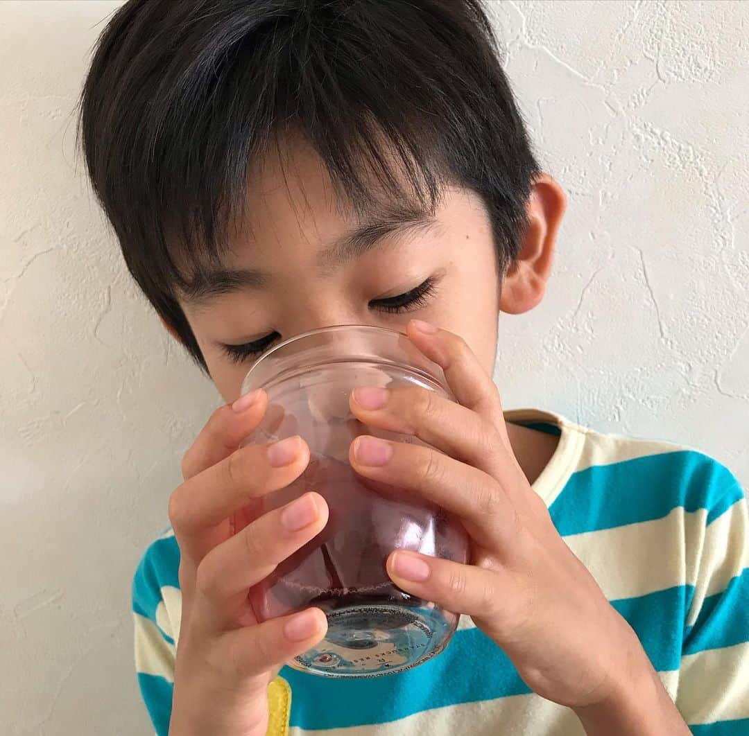 葵さんのインスタグラム写真 - (葵Instagram)「おいしいざくろジュース🥤　  地中海の太陽をいっぱい浴びて育った、完熟ざくろ果汁100％のざくろジュースです。  ざくろってこんなに美味しかったっけ？というくらい本当に美味しくてびっくり❗️ 酸っぱすぎず甘すぎず、このままストレートでゴクゴク飲めちゃいます！ 息子も大好きで毎日飲んでるよ🎶 他にも、ヨーグルトにいれたり、豆乳でわったりとアレンジも楽しんでいます☆  ざくろは女性に嬉しい成分、ポリフェノールの1種であるエラグ酸やビタミンCなどがたっぷりだから飲み続けたい♡  【テレビで話題の長寿遺伝子サーチュイン】 2023年1月17日放送の「カズレーザーと学ぶ」で 『老化を遅らせる夢の食材」としてざくろが紹介され、一時期は入手困難になった商品です。 お得な定期便もあるからチェックしてみてね！  PR @zakuro82zakuro #ざくろジュース #ザクロジュース #ゆらぎ世代 #ベビ待ちさん #美容おすすめ #エラグ酸 #ポリフェノール #野田ハニー」12月2日 9時47分 - dolphin_coconut