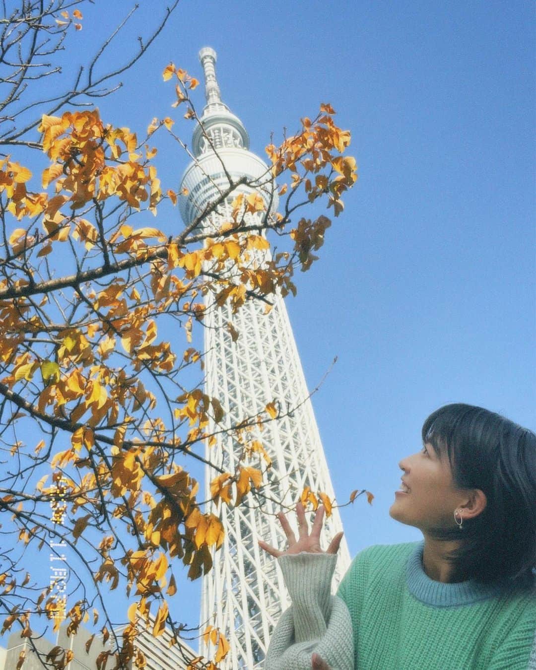 眞嶋優さんのインスタグラム写真 - (眞嶋優Instagram)「スカイツリー×黄葉 結局、走ります！ 12月もよろしくお願いします^ ^  TOKYO SKYTREE × autumn leaves  #日本 #東京 #スカイツリー #観光 #旅行  #japan #tokyo #skytree #tokyoskytree  #ミルクフェド #milkfed」12月2日 10時13分 - yu_mashima