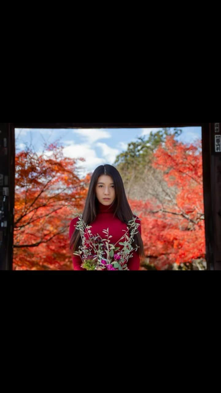 あいみのインスタグラム：「【滋賀県大津市】　#石山寺　#紅葉 #観光名所  京都ポトレ企画という撮影企画で秋の石山寺に行ってきました🍁 企画の名称は京都ポトレ企画ですが、行ったのは滋賀です😂  Photo &Movie @yaa_85   ちょうど紅葉が見頃を迎えていて 紅葉のグラデーションが本当に美しかった🥹✨  ここ数年は紅葉狩りに行く機会がなく  秋を楽しむ間もなく冬に突入していたけれど  今年の秋、こんなに素敵な紅葉を楽しむことができて本当に嬉しい  去年の今頃では全く考えられなかったシチュエーション  ゆったりとした時間に趣を感じながら  全てのご縁に感謝せねばと 改めて思った一日でした  あんなに人がたくさんいたのに 人が1人も通らない穴場を見つけたのも嬉しかった🍁  これまでのことに無駄なことなんて何一つなくて どれも必要な過程だったんだよね  ね、あやちゃん😉🤍  全ての物事に無理に意味を持たせる必要はないけれど この日の巡り合わせにも意味があったね、と  そう思わせてくれること この今を感じ取れることに感謝してます☺️  いつもありがとう  …余談ですが、揚げ串団子 しょうゆときなこどっちも美味しかった🍵  #japantrip #temple #紅葉狩り #滋賀観光   #串団子　#紫式部 #大河ドラマ #源氏物語」