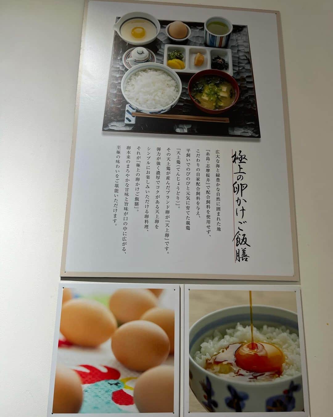 正隨優弥さんのインスタグラム写真 - (正隨優弥Instagram)「UOVO(ウォーヴォ) 糸島  卵かけご飯もデザートもばりうまです！ 糸島に来たらいってみてねー！  #糸島 #糸島ファームハウス #卵」12月2日 10時55分 - zui.l.zui