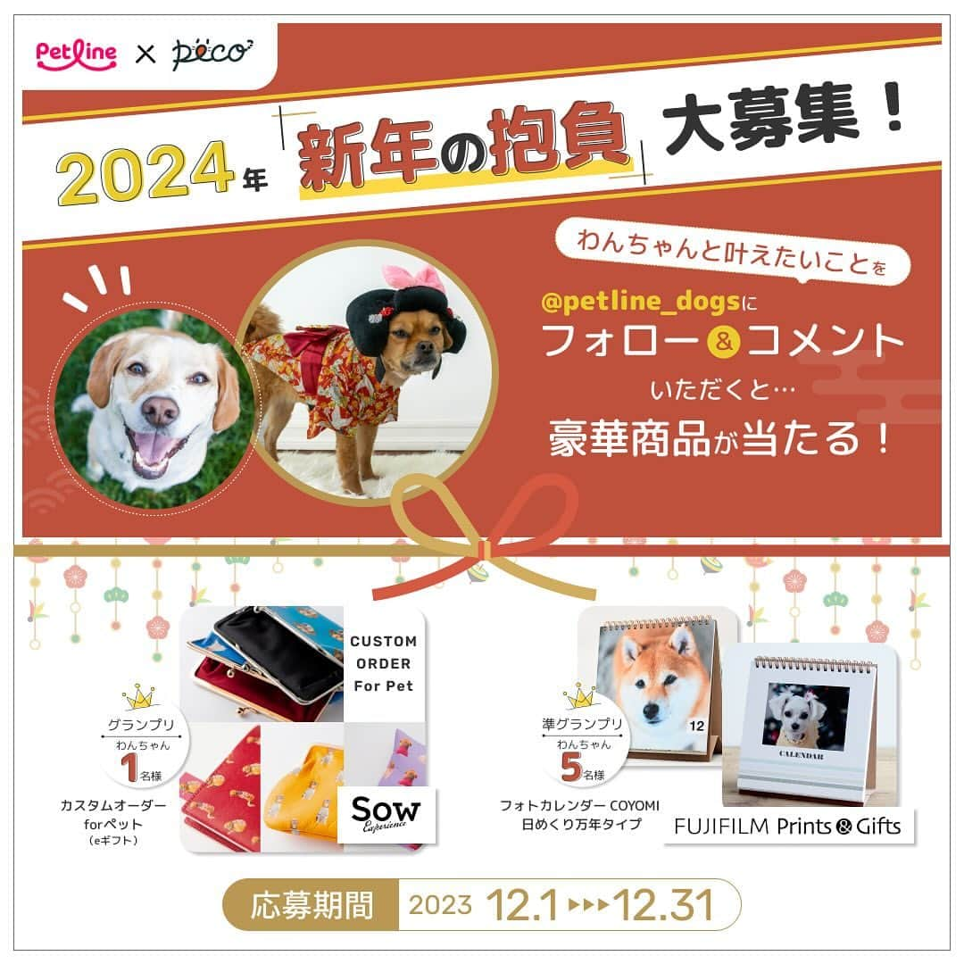 柴犬ハル&保護犬すずさんのインスタグラム写真 - (柴犬ハル&保護犬すずInstagram)「⛩️ . 『ハルの2024年の抱負は、 ササミとチーズが今年も食べられますように！ そして元気な一年になりますように🙏だよー！』 . ハルはもう来年の目標を決めました！ もうすぐ8歳だし健康的に長生きできるように、 ササミとチーズを相棒に元気に過ごしたいと思いまーす！ . そして今、　ペットラインさん　@petline_dogs  の インスタグラムをフォローしてペットラインの 【2024年「新年の抱負」大募集！】の投稿に、 わんちゃんと叶えたい新年の抱負をコメントすると、 豪華な商品が当たるキャンペーンが開催されています☺️🎁  グランプリ 　⭐️SOW EXPERIENCE 「カスタムオーダー for ペット（eギフト）」 (お気に入りのわんちゃんの写真を使って、 かわいいドット柄のオリジナルアイテムが作れるギフト)　1名様  準グランプリ 　⭐️FUJIFILIM Prints&Gifts 「フォトカレンダー COYOMI 日めくり万年タイプ」　5名様  応募期間 2023年12月1日（金）〜12月31日（日）  ぜひペットラインの公式アカウント@petline_dogs を フォローして、ペットラインの【2024年「新年の抱負」大募集！】 の投稿に2024年の抱負をコメントしてみてください🥳🧡  猫ちゃんと叶えたい新年の抱負も募集しているので 猫の飼い主さんは要チェックです！　@petline_cats   PR：ペットライン株式会社  #抱負って大事だよね #すずは相変わらず芋が食べたいそうです #飼い主も健康に過ごすことをお祈りします #健康第一が身に染みて分かるお年頃です . #柴犬#柴#kagoshima#dog#cat#鹿児島#赤柴#ねこ#猫#雑種#天文館#日本犬#保護犬を家族に#保護犬#元保護犬#姉妹#ペットライン #ペットラインいぬ部」12月2日 10時56分 - haruharu040777