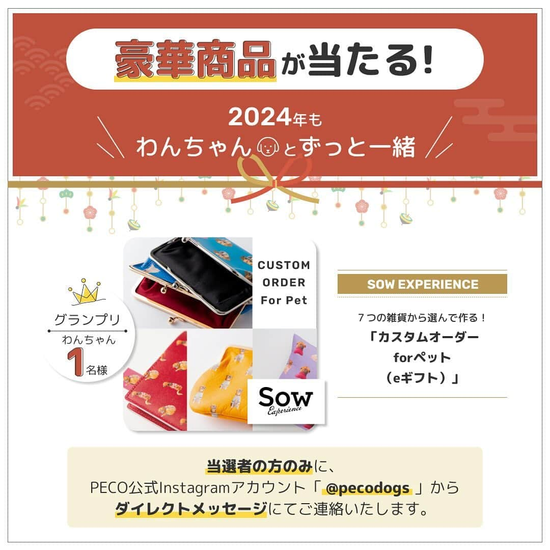 柴犬ハル&保護犬すずさんのインスタグラム写真 - (柴犬ハル&保護犬すずInstagram)「⛩️ . 『ハルの2024年の抱負は、 ササミとチーズが今年も食べられますように！ そして元気な一年になりますように🙏だよー！』 . ハルはもう来年の目標を決めました！ もうすぐ8歳だし健康的に長生きできるように、 ササミとチーズを相棒に元気に過ごしたいと思いまーす！ . そして今、　ペットラインさん　@petline_dogs  の インスタグラムをフォローしてペットラインの 【2024年「新年の抱負」大募集！】の投稿に、 わんちゃんと叶えたい新年の抱負をコメントすると、 豪華な商品が当たるキャンペーンが開催されています☺️🎁  グランプリ 　⭐️SOW EXPERIENCE 「カスタムオーダー for ペット（eギフト）」 (お気に入りのわんちゃんの写真を使って、 かわいいドット柄のオリジナルアイテムが作れるギフト)　1名様  準グランプリ 　⭐️FUJIFILIM Prints&Gifts 「フォトカレンダー COYOMI 日めくり万年タイプ」　5名様  応募期間 2023年12月1日（金）〜12月31日（日）  ぜひペットラインの公式アカウント@petline_dogs を フォローして、ペットラインの【2024年「新年の抱負」大募集！】 の投稿に2024年の抱負をコメントしてみてください🥳🧡  猫ちゃんと叶えたい新年の抱負も募集しているので 猫の飼い主さんは要チェックです！　@petline_cats   PR：ペットライン株式会社  #抱負って大事だよね #すずは相変わらず芋が食べたいそうです #飼い主も健康に過ごすことをお祈りします #健康第一が身に染みて分かるお年頃です . #柴犬#柴#kagoshima#dog#cat#鹿児島#赤柴#ねこ#猫#雑種#天文館#日本犬#保護犬を家族に#保護犬#元保護犬#姉妹#ペットライン #ペットラインいぬ部」12月2日 10時56分 - haruharu040777