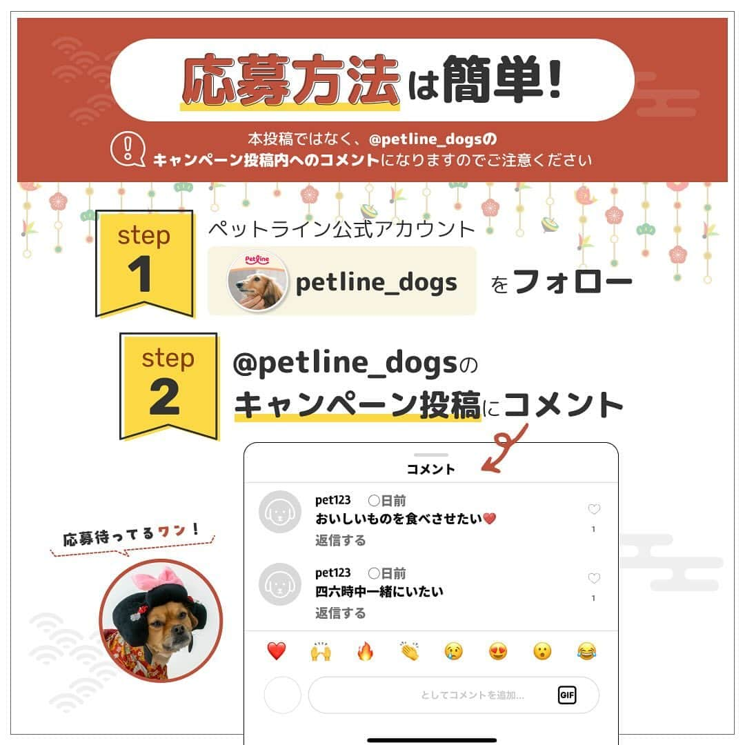 柴犬ハル&保護犬すずさんのインスタグラム写真 - (柴犬ハル&保護犬すずInstagram)「⛩️ . 『ハルの2024年の抱負は、 ササミとチーズが今年も食べられますように！ そして元気な一年になりますように🙏だよー！』 . ハルはもう来年の目標を決めました！ もうすぐ8歳だし健康的に長生きできるように、 ササミとチーズを相棒に元気に過ごしたいと思いまーす！ . そして今、　ペットラインさん　@petline_dogs  の インスタグラムをフォローしてペットラインの 【2024年「新年の抱負」大募集！】の投稿に、 わんちゃんと叶えたい新年の抱負をコメントすると、 豪華な商品が当たるキャンペーンが開催されています☺️🎁  グランプリ 　⭐️SOW EXPERIENCE 「カスタムオーダー for ペット（eギフト）」 (お気に入りのわんちゃんの写真を使って、 かわいいドット柄のオリジナルアイテムが作れるギフト)　1名様  準グランプリ 　⭐️FUJIFILIM Prints&Gifts 「フォトカレンダー COYOMI 日めくり万年タイプ」　5名様  応募期間 2023年12月1日（金）〜12月31日（日）  ぜひペットラインの公式アカウント@petline_dogs を フォローして、ペットラインの【2024年「新年の抱負」大募集！】 の投稿に2024年の抱負をコメントしてみてください🥳🧡  猫ちゃんと叶えたい新年の抱負も募集しているので 猫の飼い主さんは要チェックです！　@petline_cats   PR：ペットライン株式会社  #抱負って大事だよね #すずは相変わらず芋が食べたいそうです #飼い主も健康に過ごすことをお祈りします #健康第一が身に染みて分かるお年頃です . #柴犬#柴#kagoshima#dog#cat#鹿児島#赤柴#ねこ#猫#雑種#天文館#日本犬#保護犬を家族に#保護犬#元保護犬#姉妹#ペットライン #ペットラインいぬ部」12月2日 10時56分 - haruharu040777