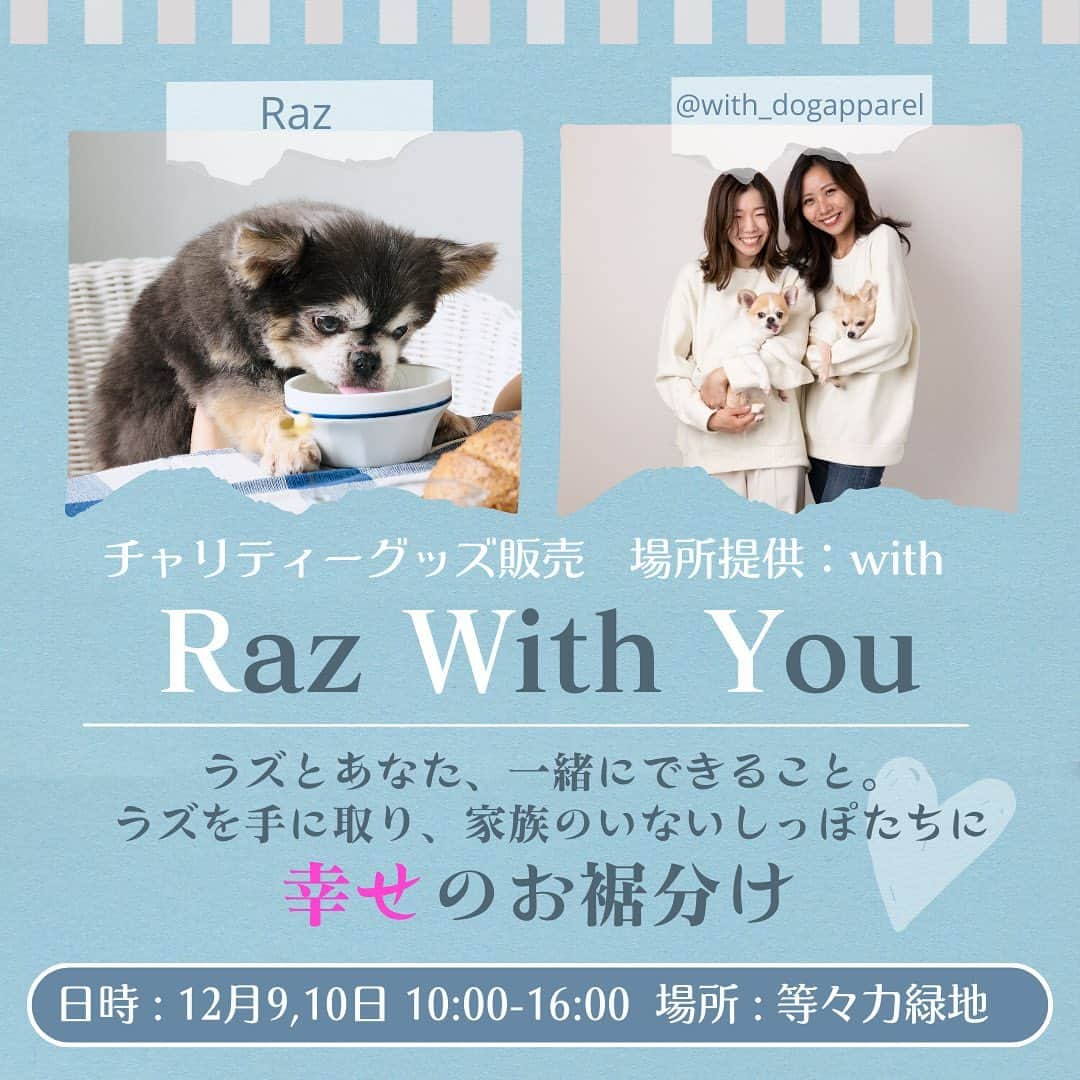 Yukiさんのインスタグラム写真 - (YukiInstagram)「Raz With You プロジェクト  withさんのブースをお借りしてチャリティーグッズ販売します！今回は急遽用意したこともあり、種類にも数にも限りがありますが、是非遊びに来てください😊  ◯目と目があってキュンするキーホルダー 　どんなにイライラしてても3秒見つめ合うだけで 　極楽気分に変わる不思議なキーホルダー。  ◯お化け赤ちゃんラズ太郎ポーチ 　ラズくん化てとうとう幽霊になりました。  ◯は？ポーチ 　会話に困ったら、これを差し出してみよう！  withさんは、飼い主と愛犬のリーンコーデのアパレル。 オーガニックコットン90%のニットは、本当に気持ちいし 暖かいから是非触ってみてね。コットンはチクチクしないしし体を温めます。 また、皮膚の薄さが1/3程度しかないワンコにも コットンはオススメだよ🙆🏻‍♀️  ラズくんは昔から「社会貢献したい」「慈善活動したい」とプエオカヒさんを通じて言っていました。 見えなくなった今もその気持ちは変わらないから、私はしっかりとその意志を受け継いでいくよ😊」12月2日 10時52分 - lovableraz