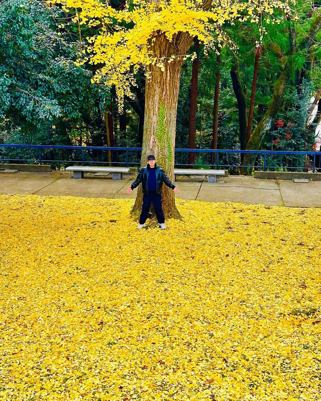 布袋寅泰さんのインスタグラム写真 - (布袋寅泰Instagram)「ホテ散歩@仙台。徳川家康公を御祭神としてお祭りしている神社、仙台東照宮へ。穏やかな秋晴れの階段をゆっくり上り、残りわずかとなったツアーの無事成功をお祈りしてきました。銀杏の葉の黄色い絨毯。思わず手を広げしまいました。今夜の仙台サンプラザ公演。若干の立ち見当日券ありとのこと。会場にお問い合わせを。今夜も目一杯楽しみましょう！　#布袋寅泰 #ホテ散歩　#仙台東照宮」12月2日 11時30分 - hotei_official