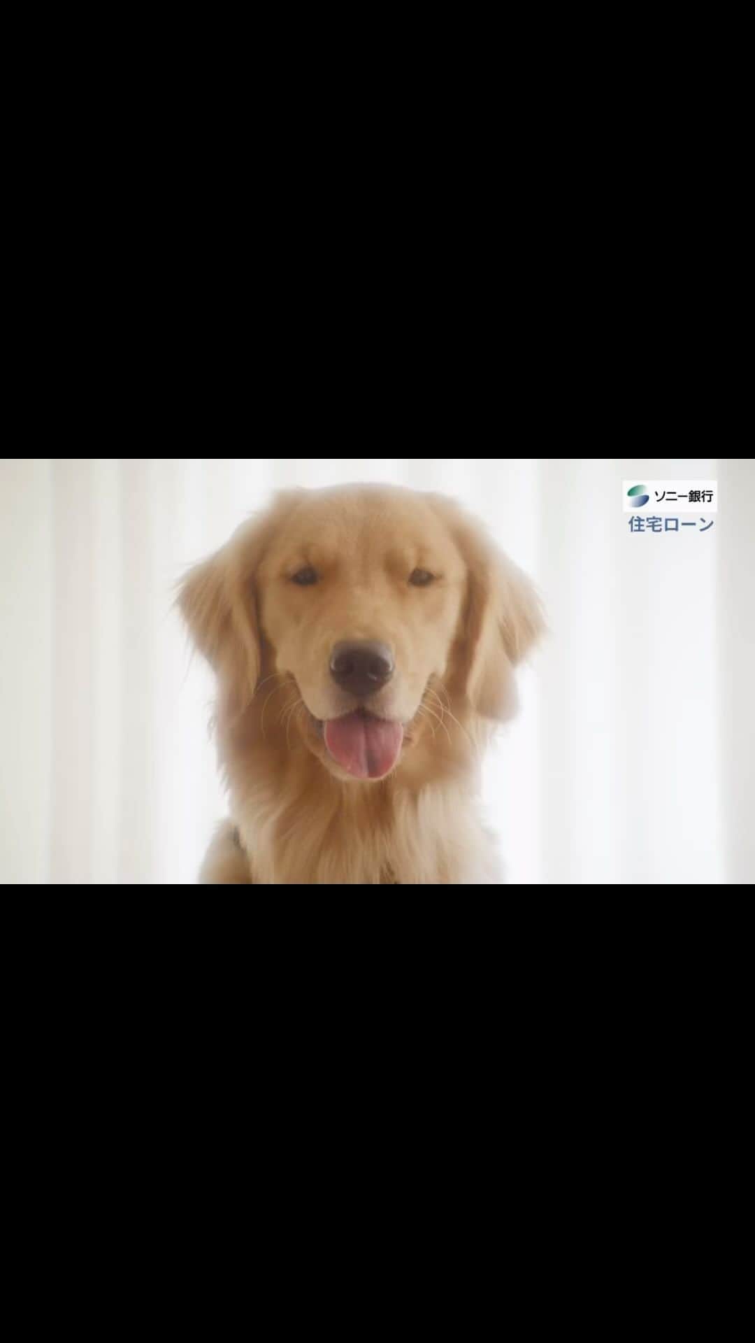 宮城大樹のインスタグラム